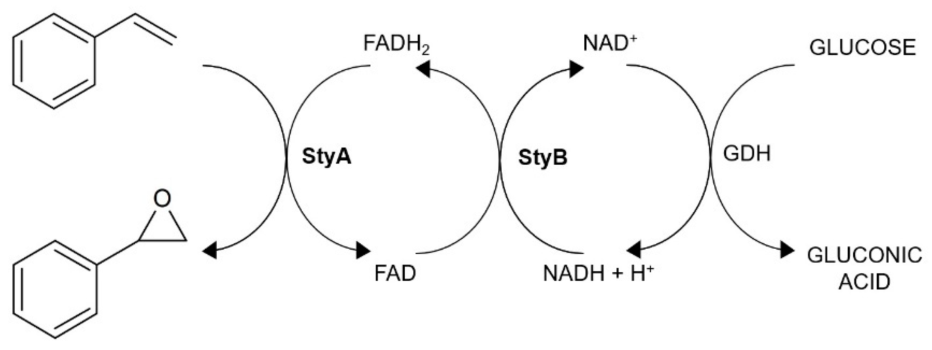 Molecules 26 01514 g002