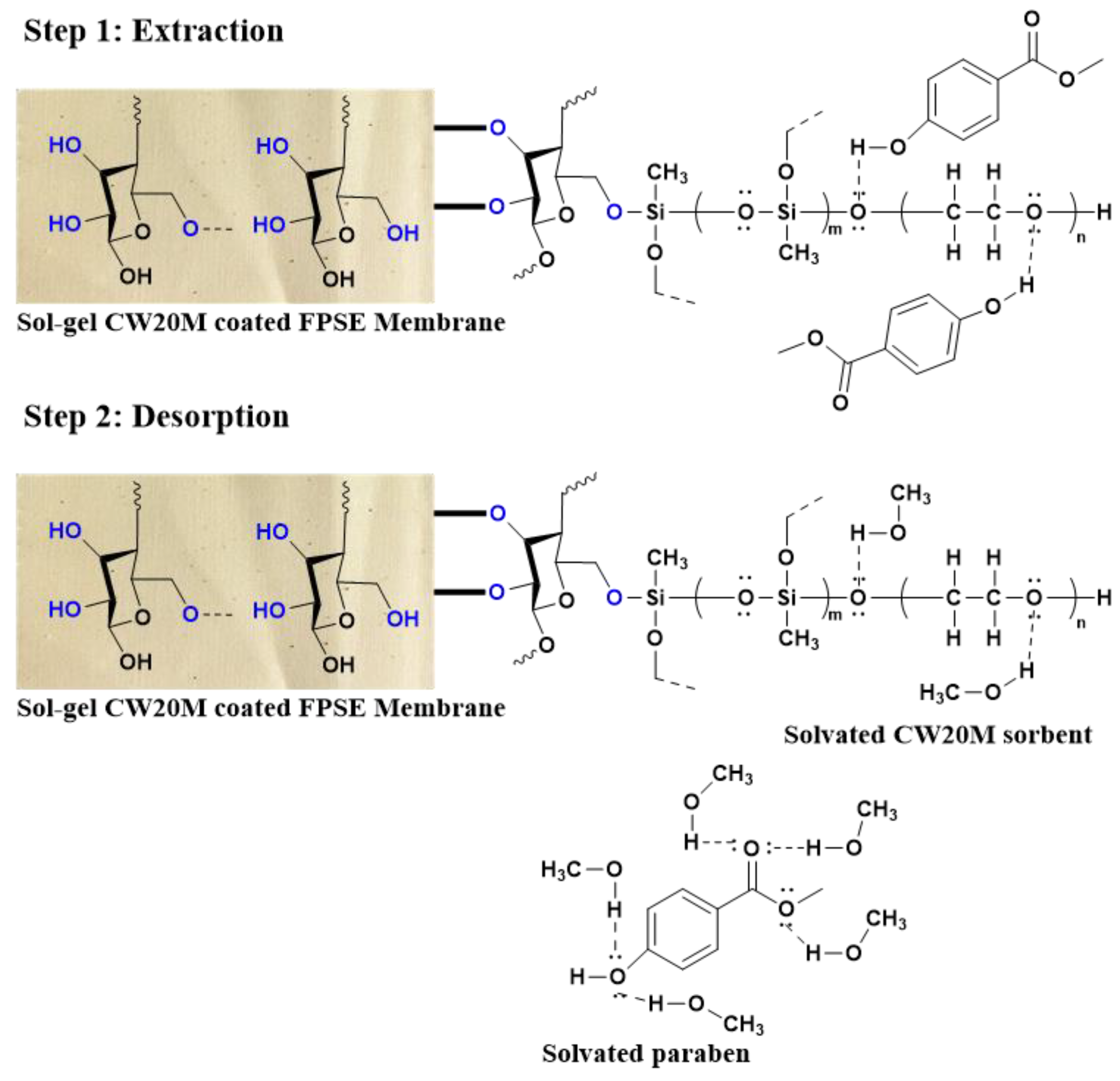 Molecules 26 01526 g006