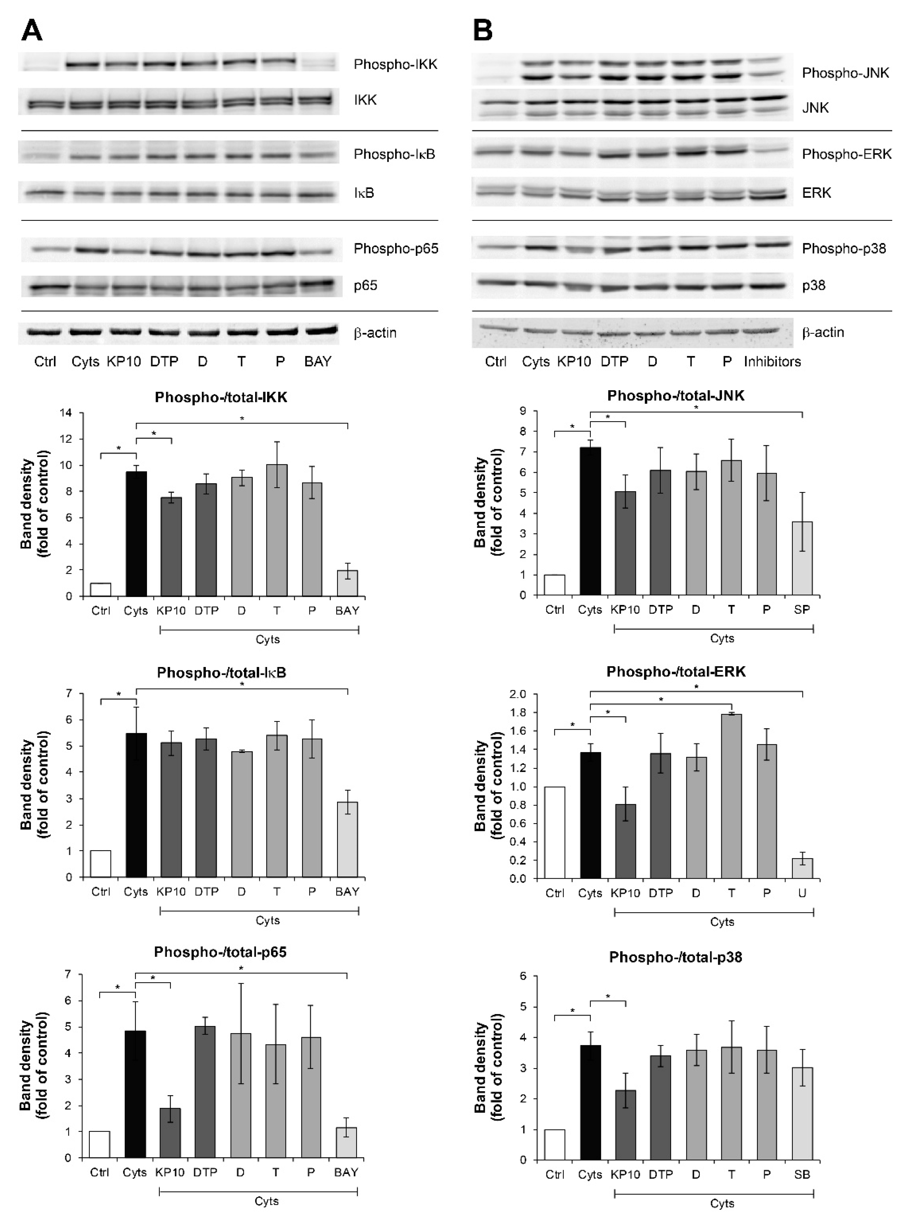 Molecules 26 01527 g004