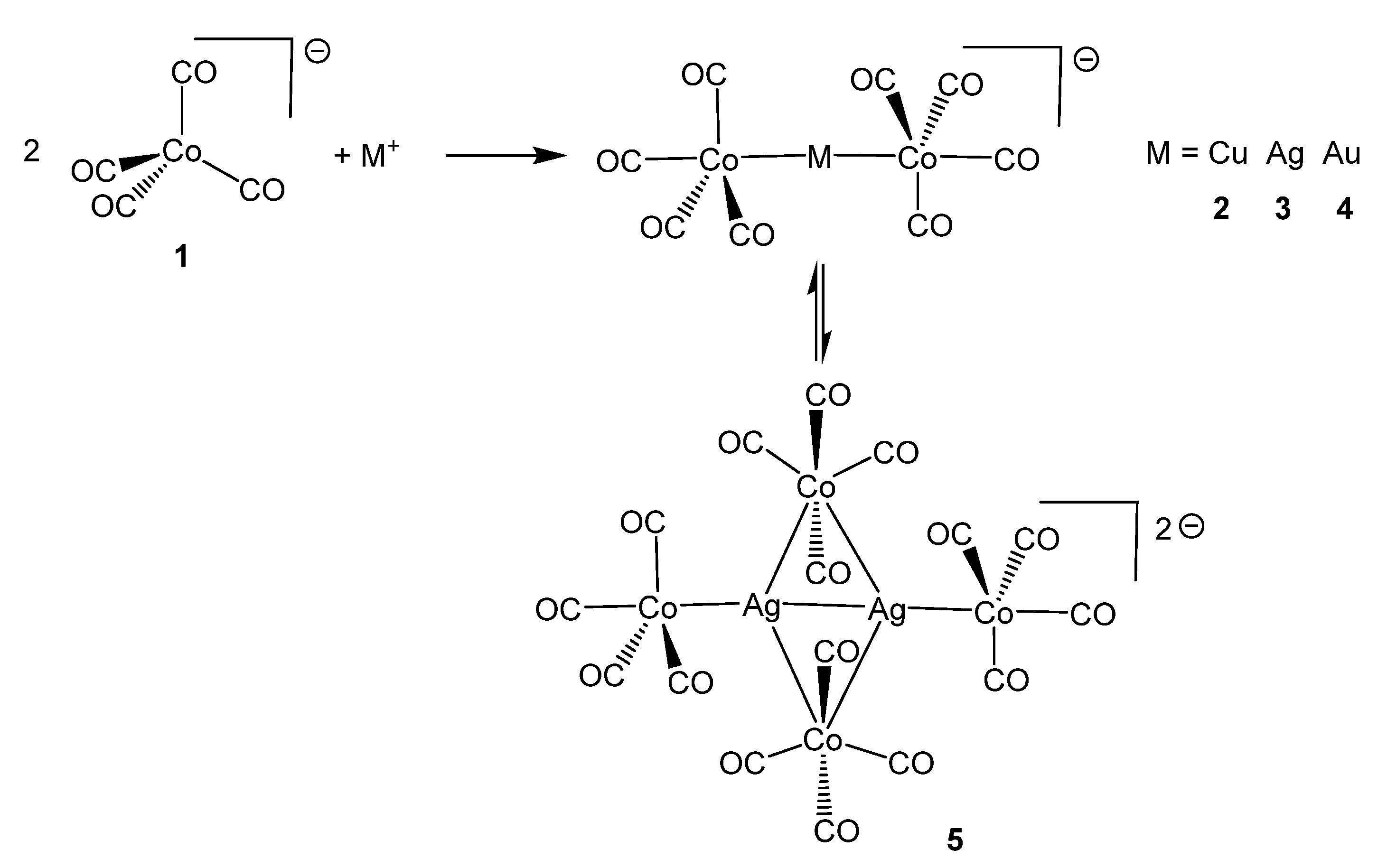 Molecules 26 01529 sch001