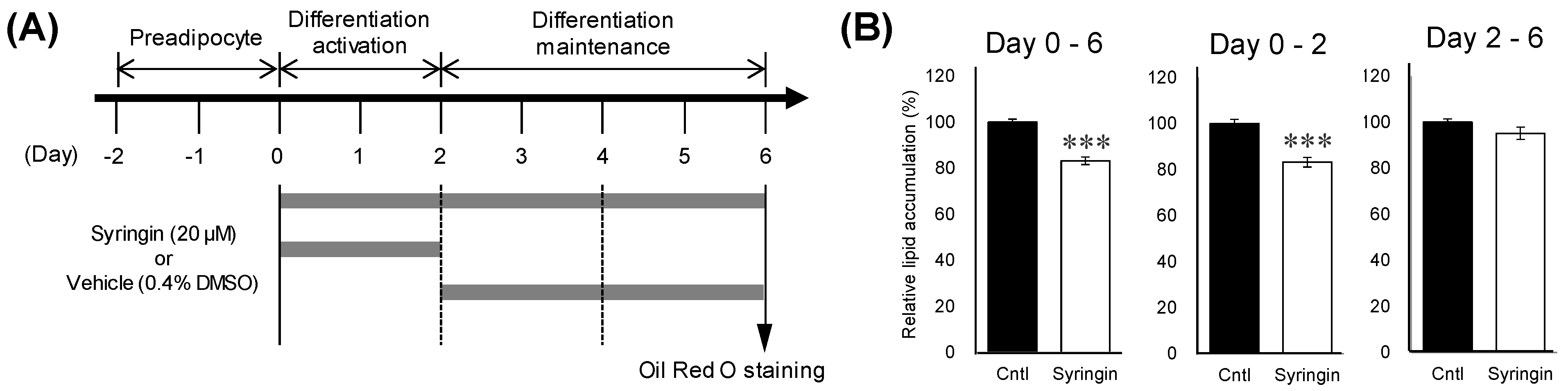 Molecules 26 01531 g003