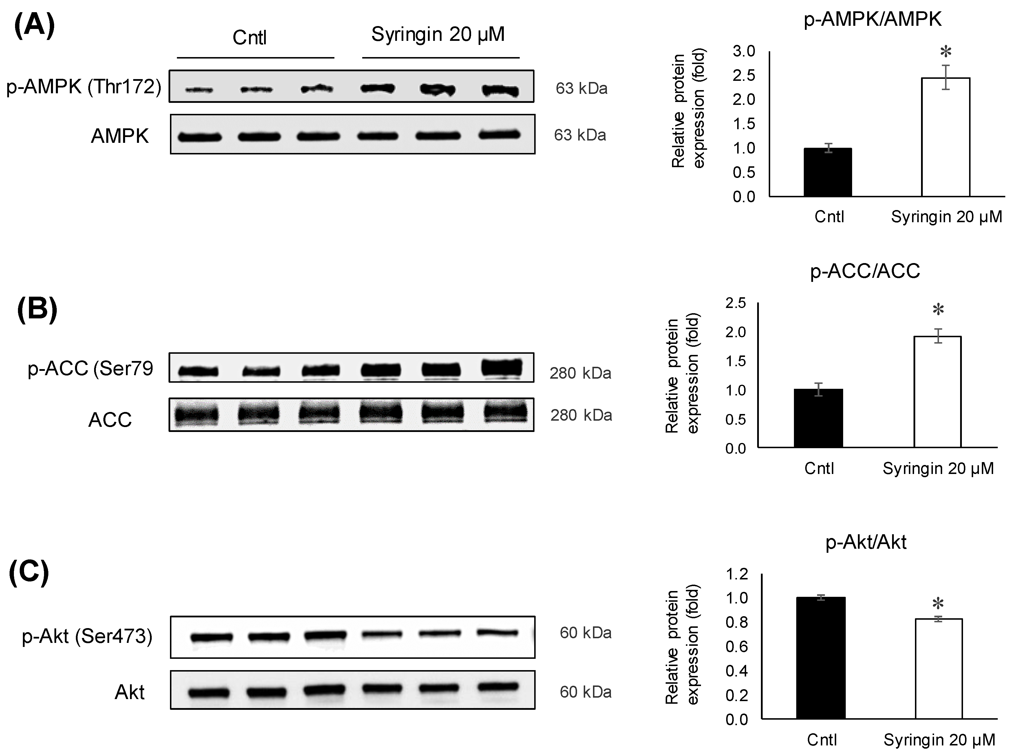 Molecules 26 01531 g006