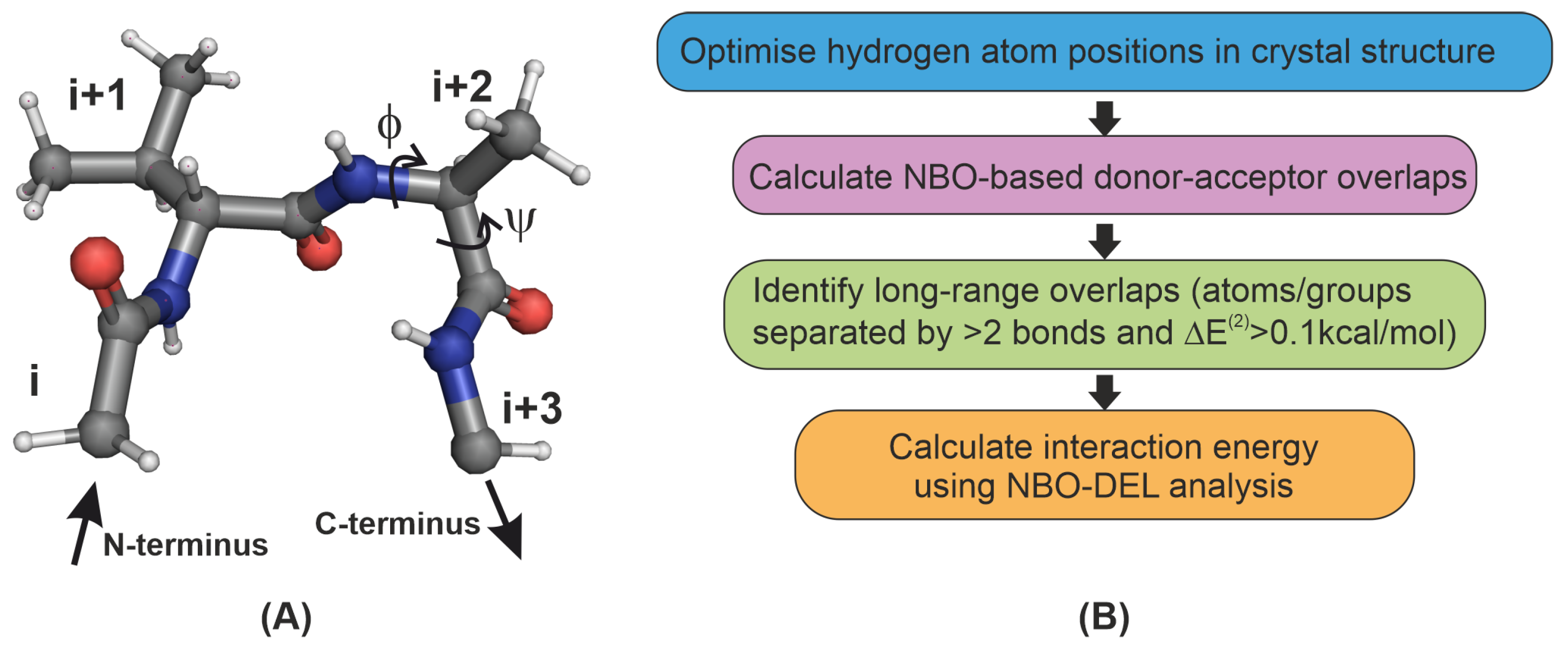 Molecules 26 01533 g001