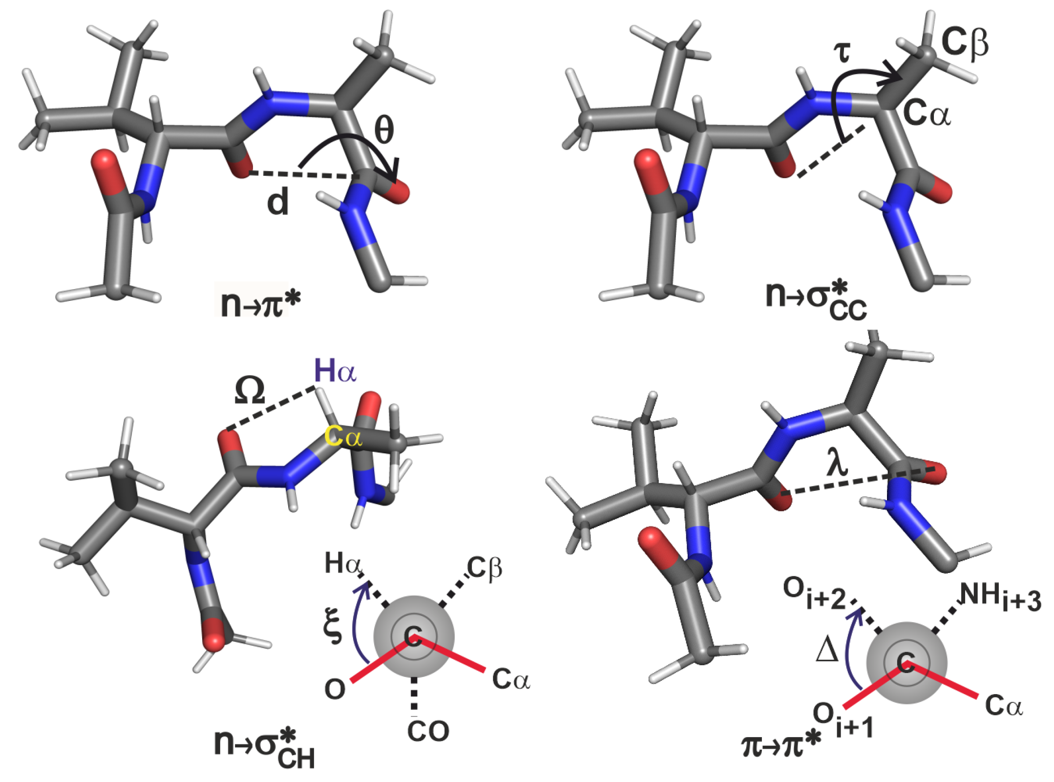 Molecules 26 01533 g004