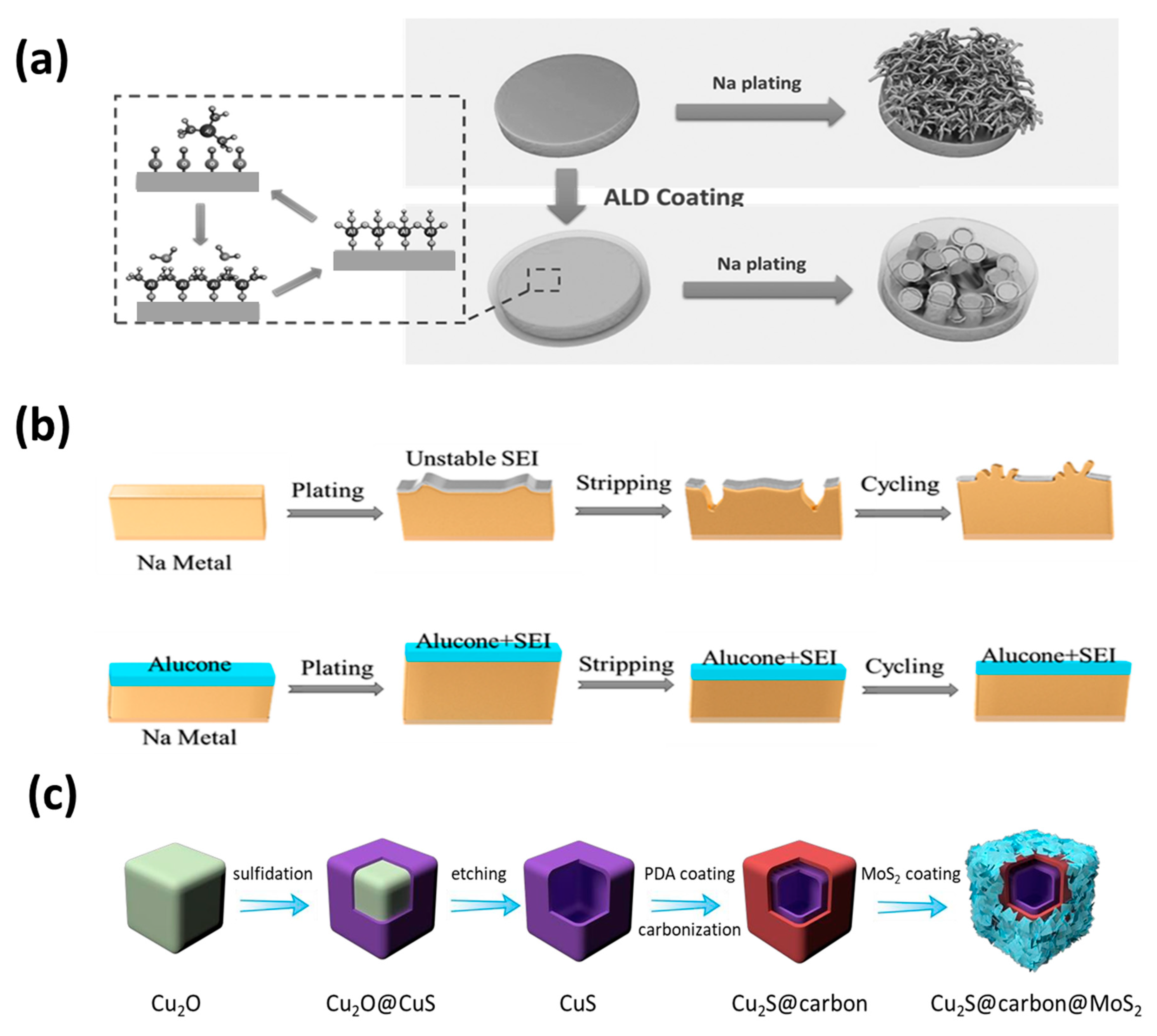 Molecules 26 01535 g007