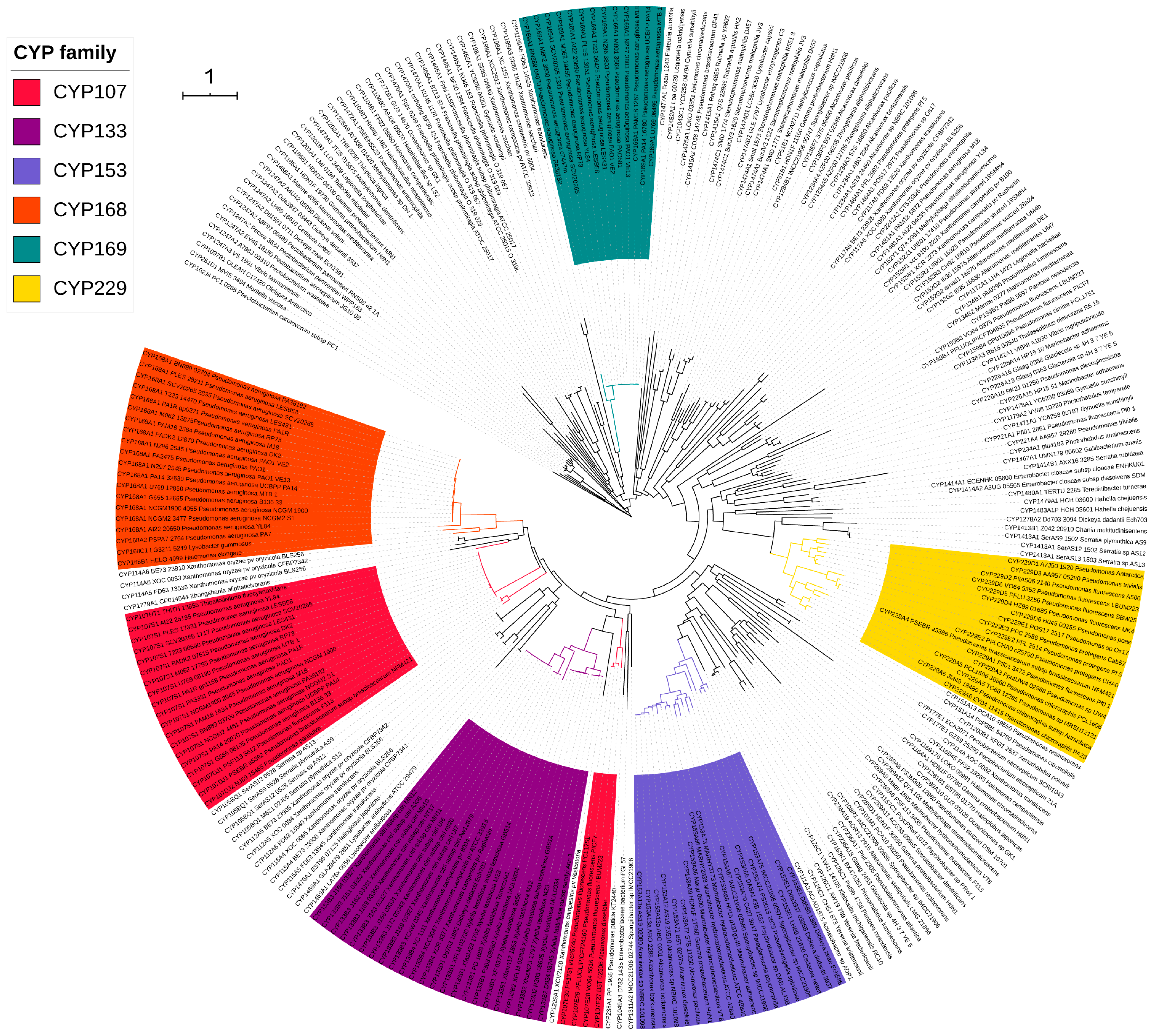 Molecules 26 01538 g002 Molecules 26 01538 g002