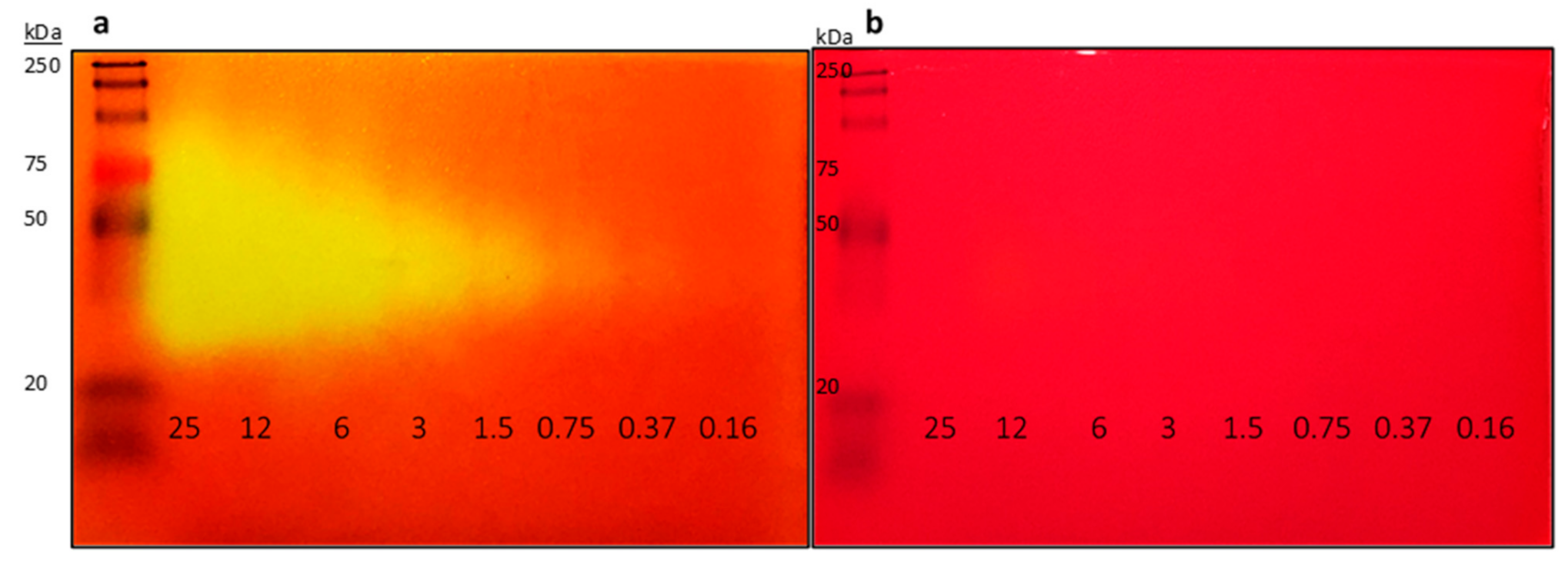 Molecules 26 01542 g001