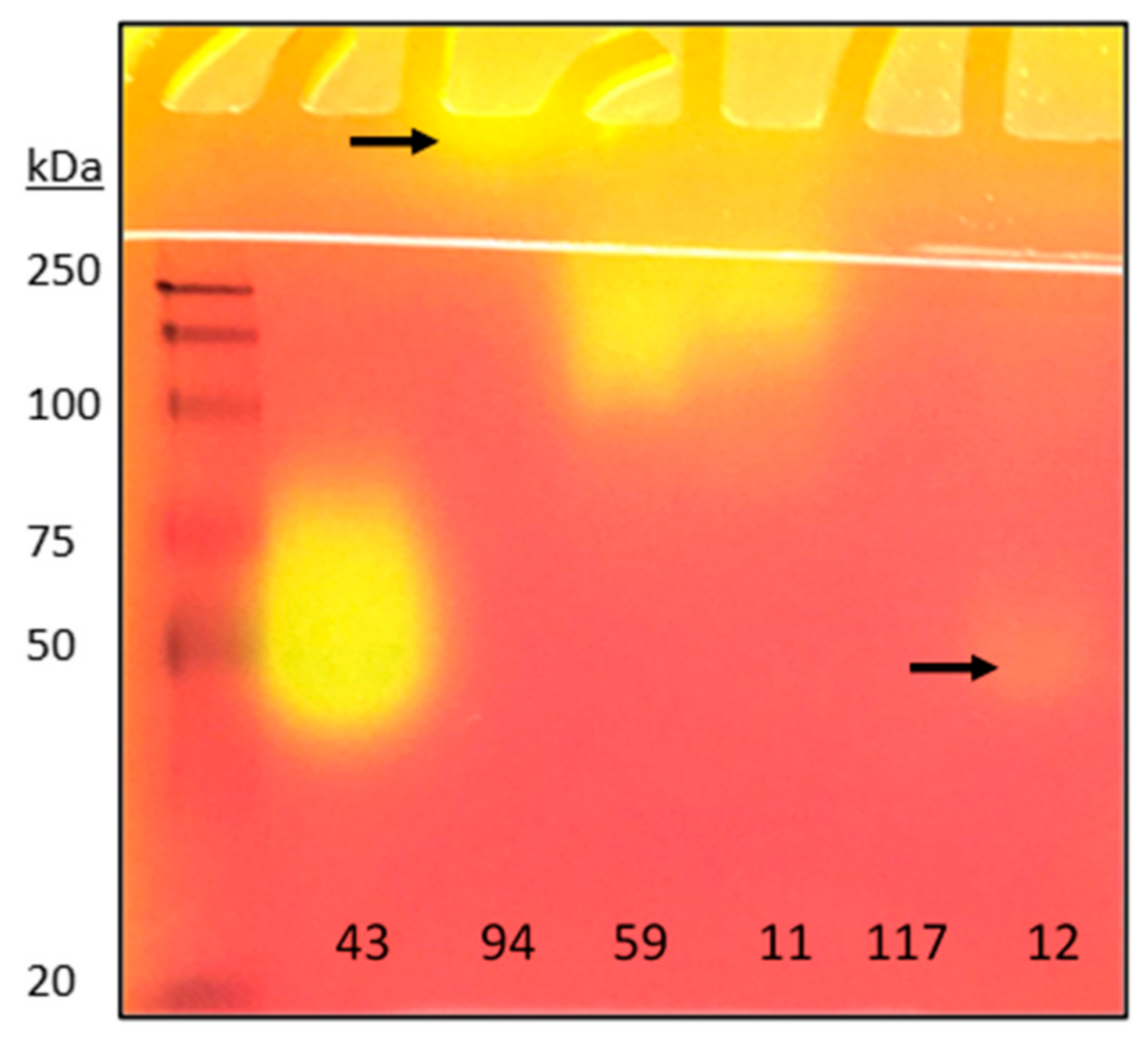 Molecules 26 01542 g003
