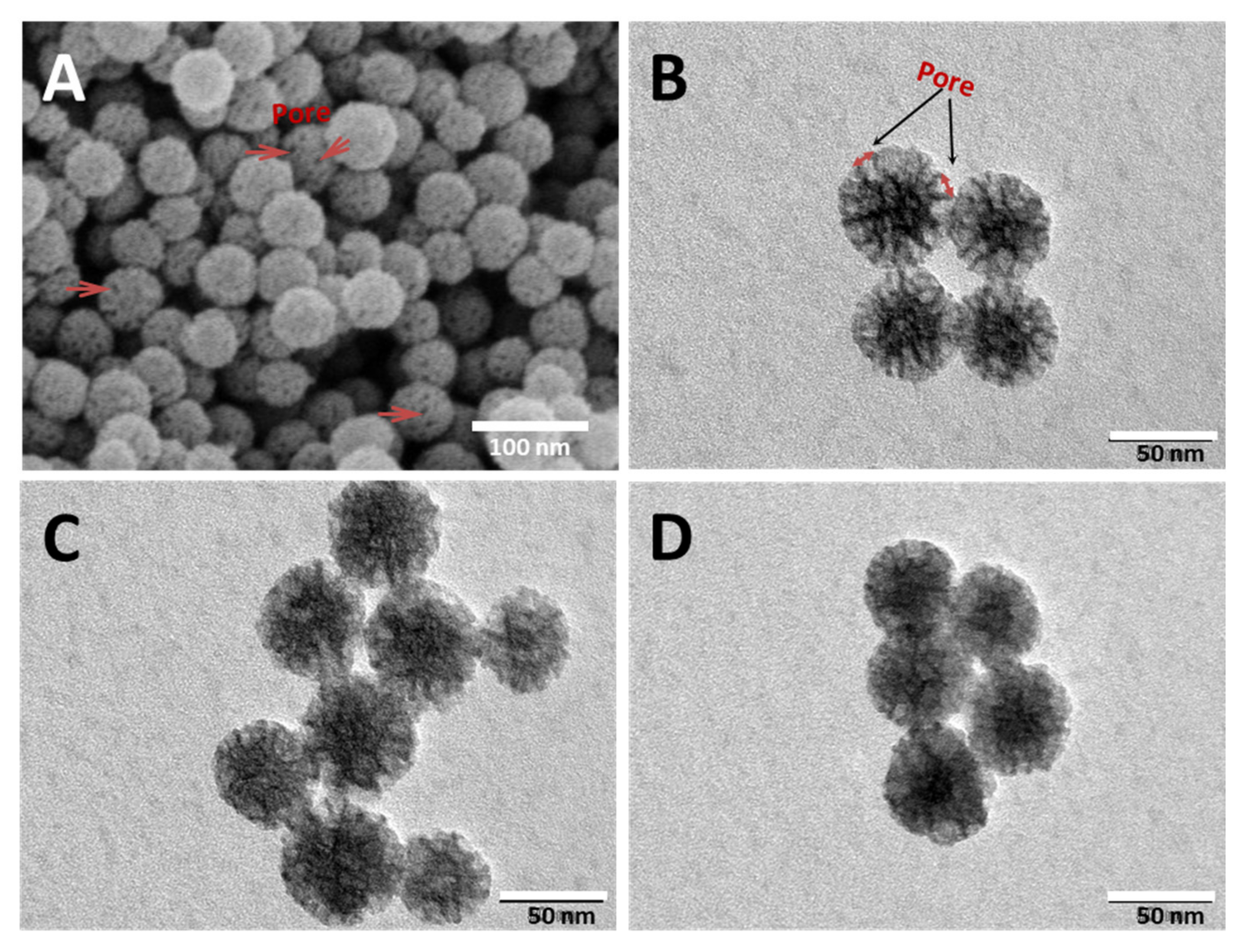 Molecules 26 01545 g001 Molecules 26 01545 g001