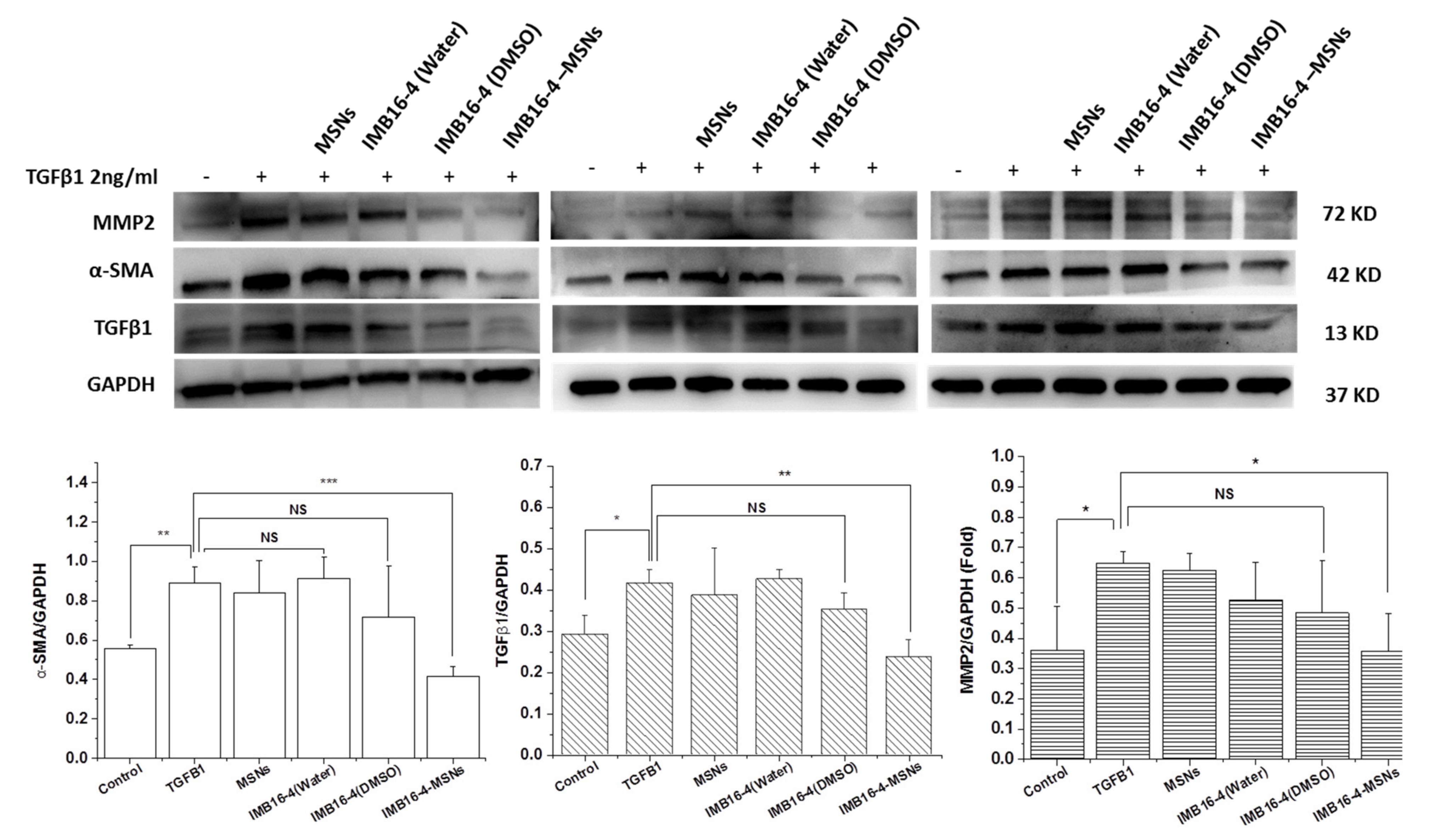 Molecules 26 01545 g008 Molecules 26 01545 g008