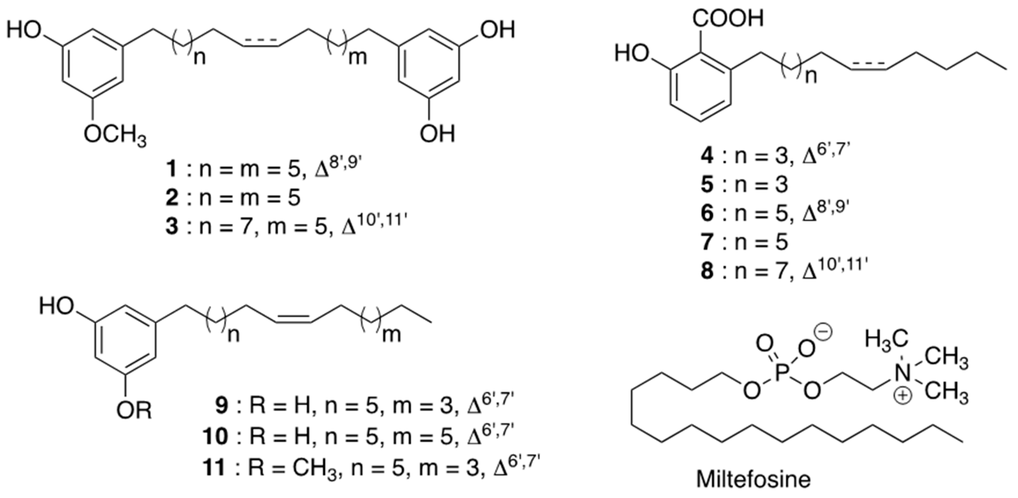 Molecules 26 01551 g001