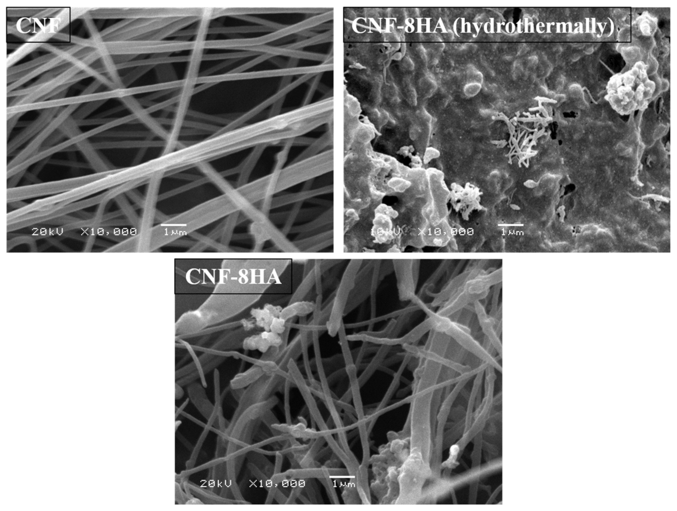 Molecules 26 01552 g001