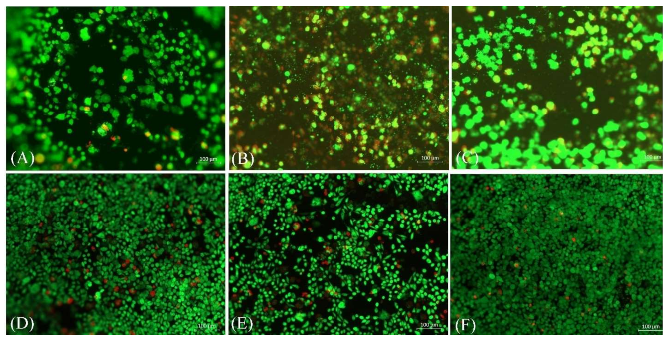 Molecules 26 01552 g005