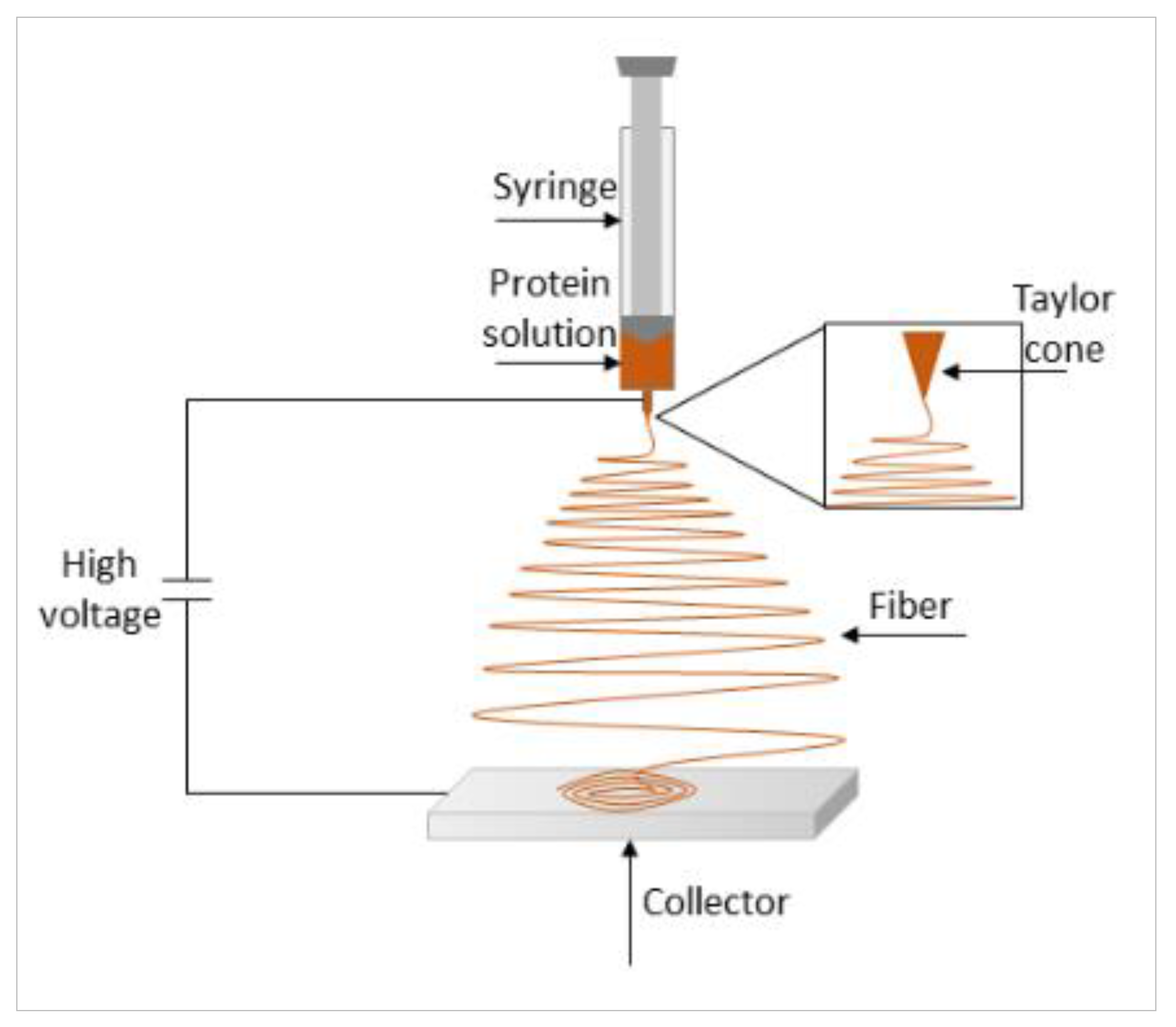 Molecules 26 01559 g003