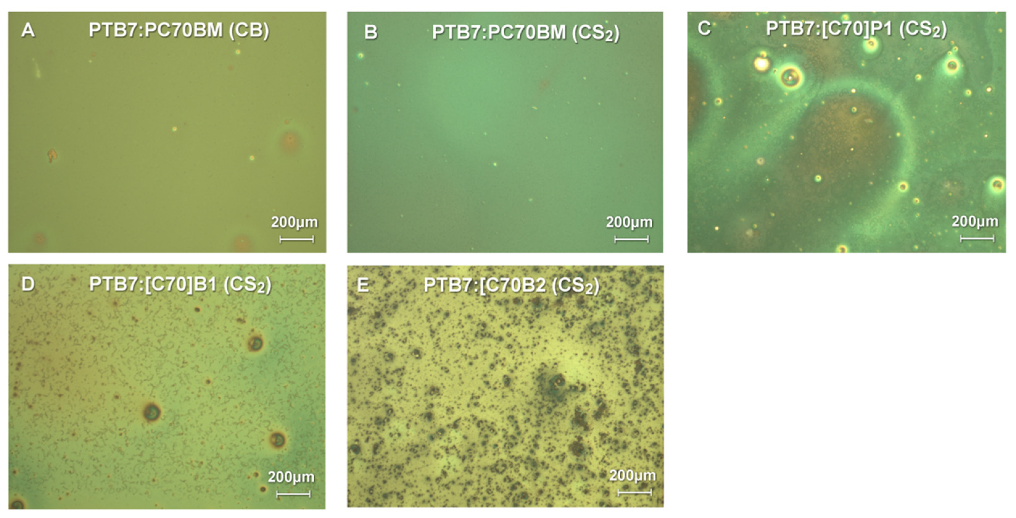 Molecules 26 01561 g010