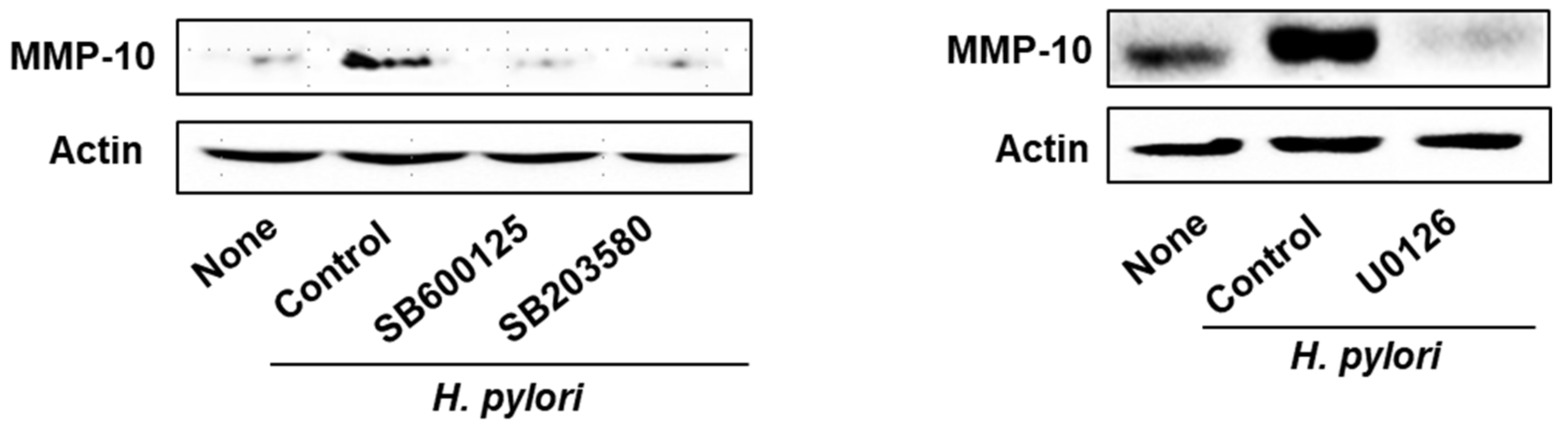 Molecules 26 01567 g002 Molecules 26 01567 g002