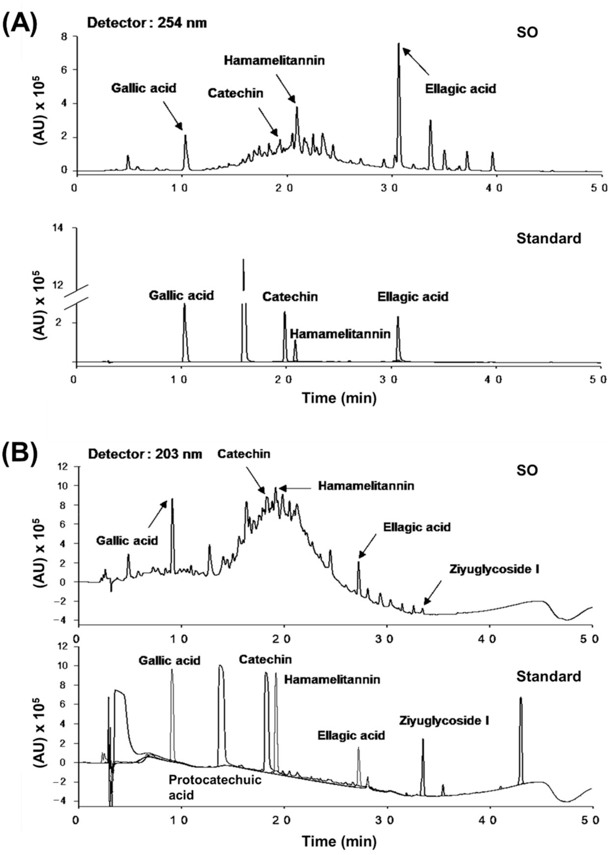 Molecules 26 01579 g001