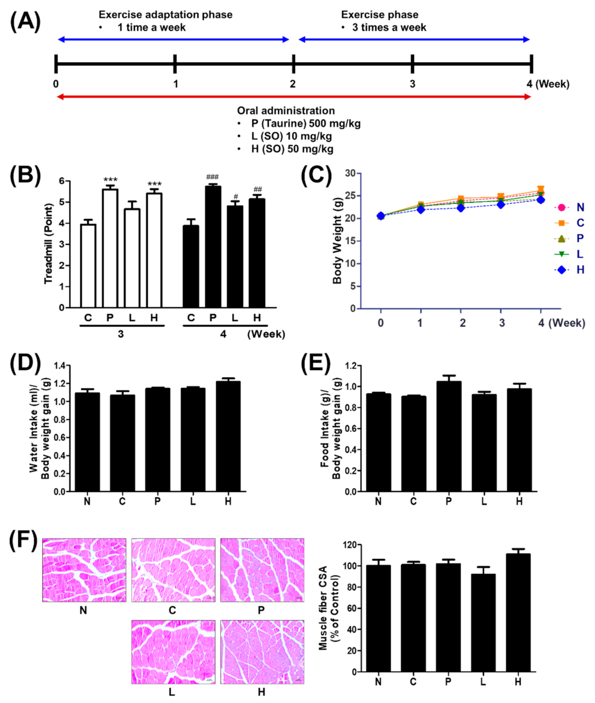 Molecules 26 01579 g002