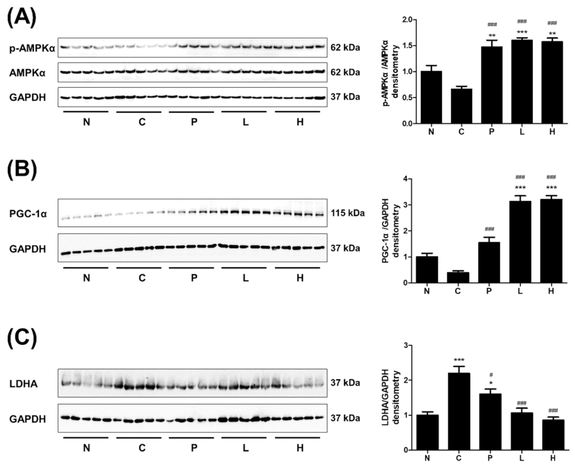 Molecules 26 01579 g004
