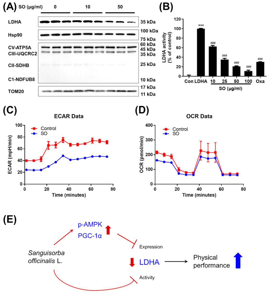Molecules 26 01579 g005