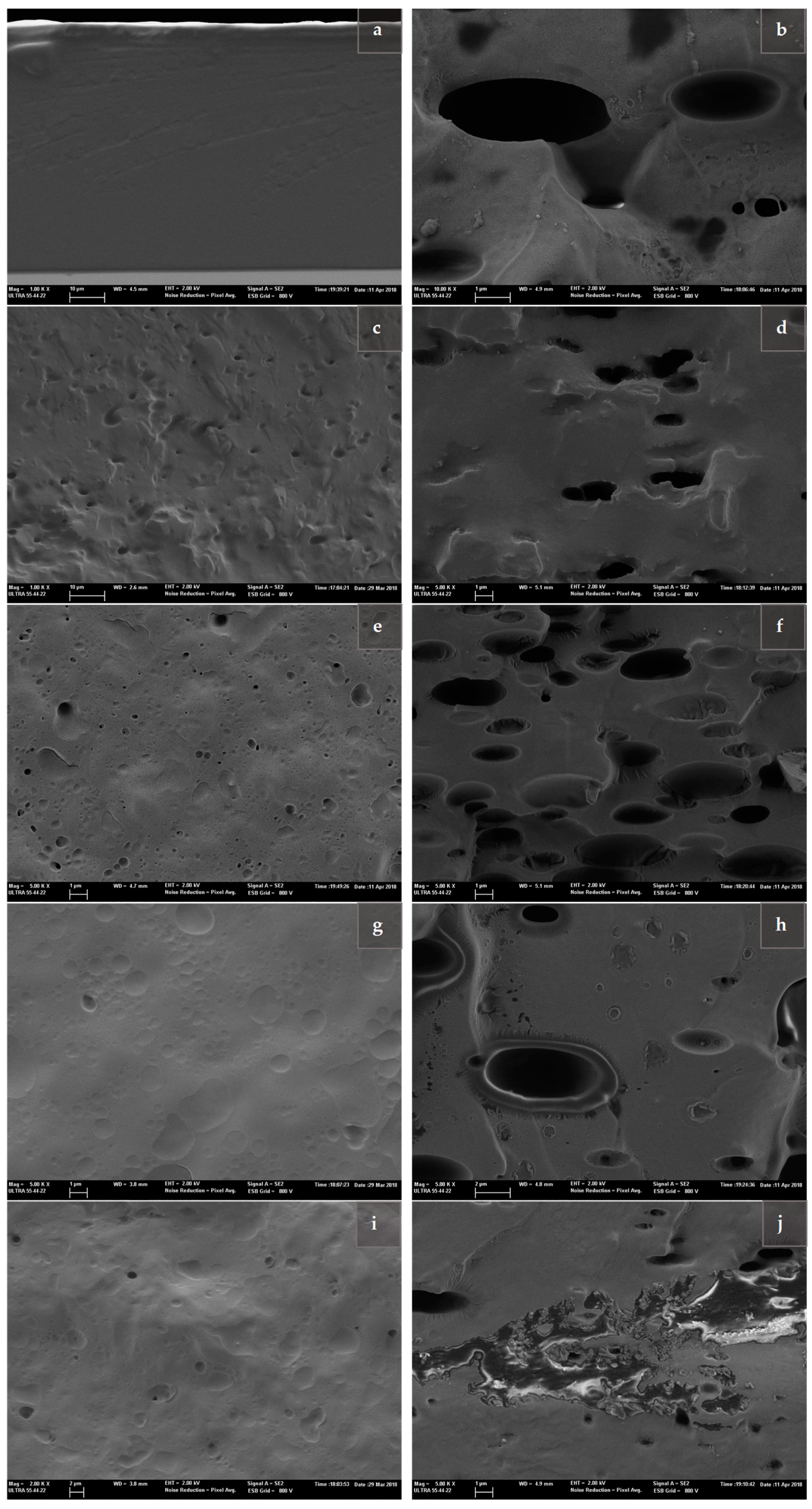 Molecules 26 01589 g003
