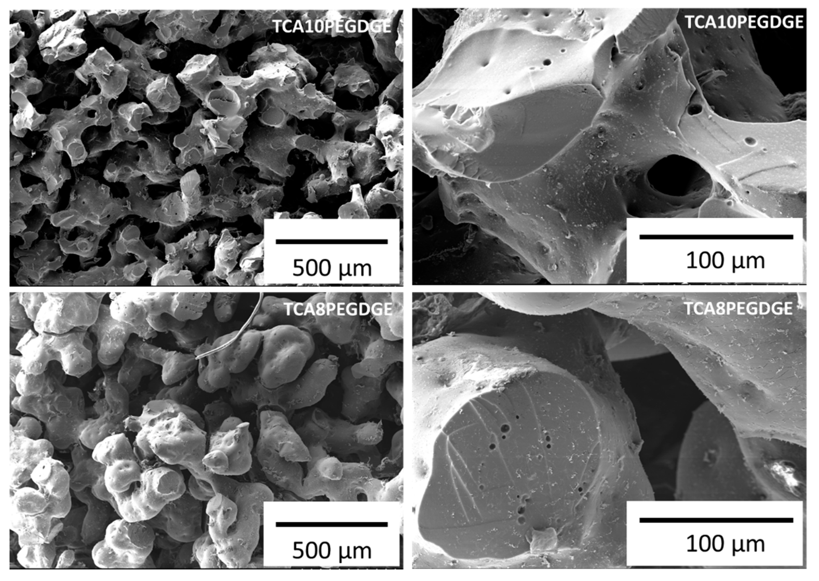 Molecules 26 01593 g002