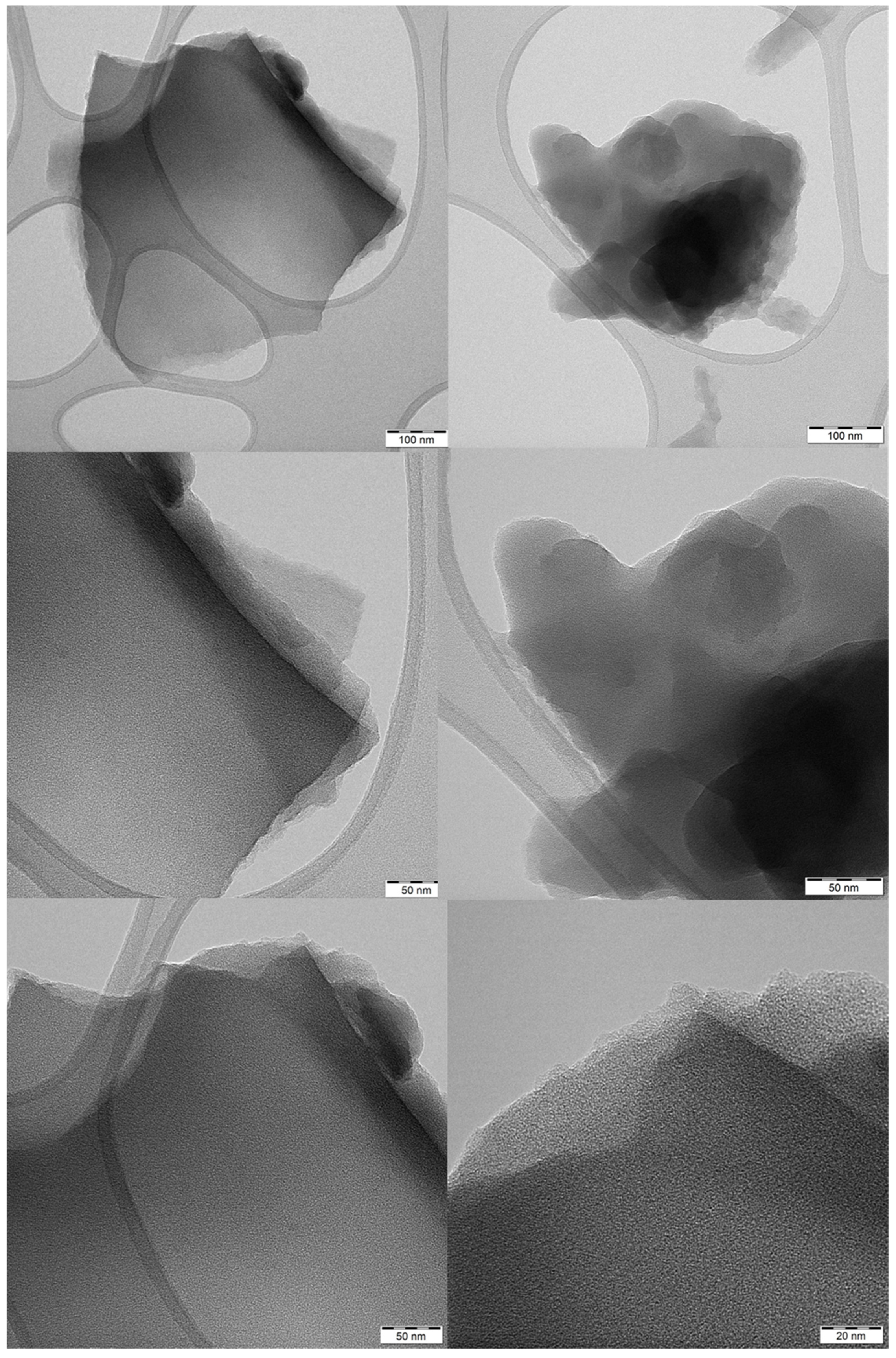 Molecules 26 01595 g006