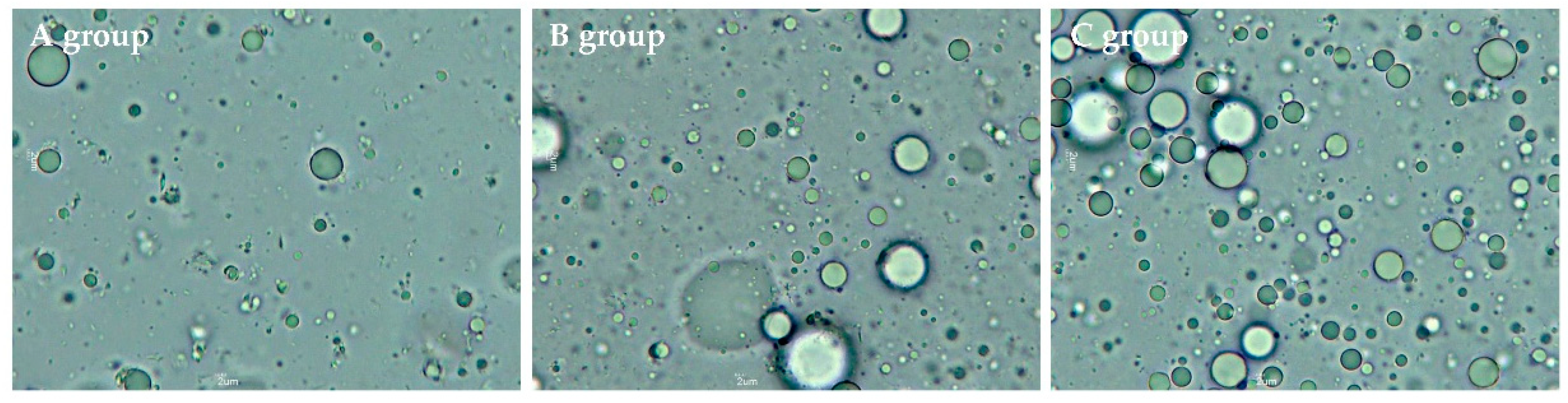 Molecules 26 01596 g003