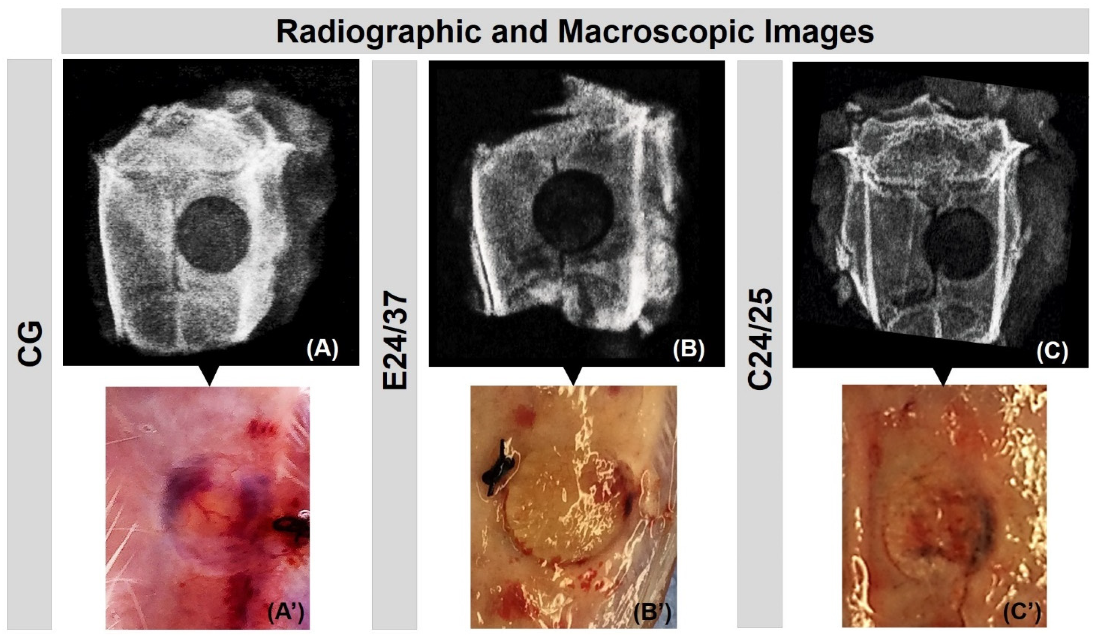 Molecules 26 01598 g001