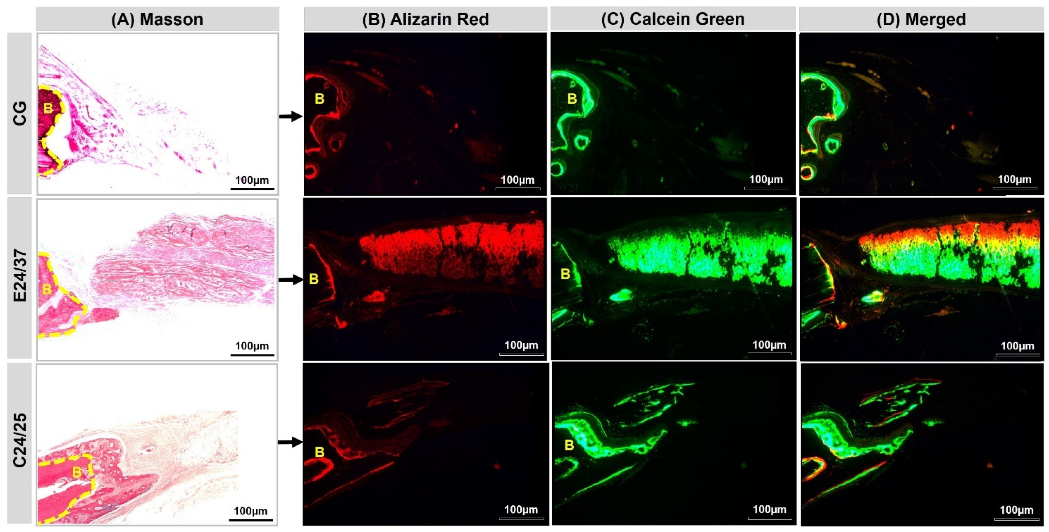Molecules 26 01598 g003