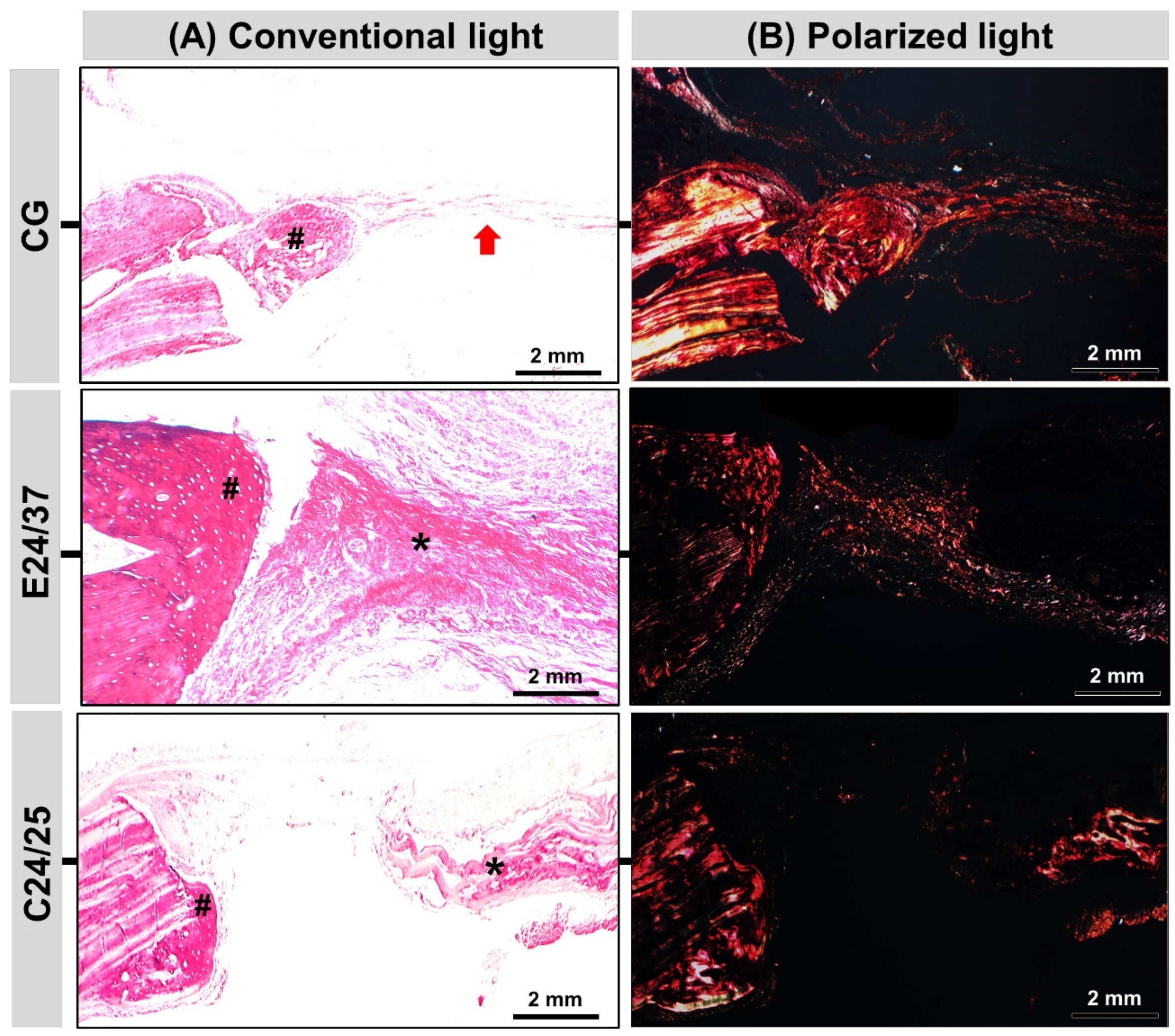 Molecules 26 01598 g005