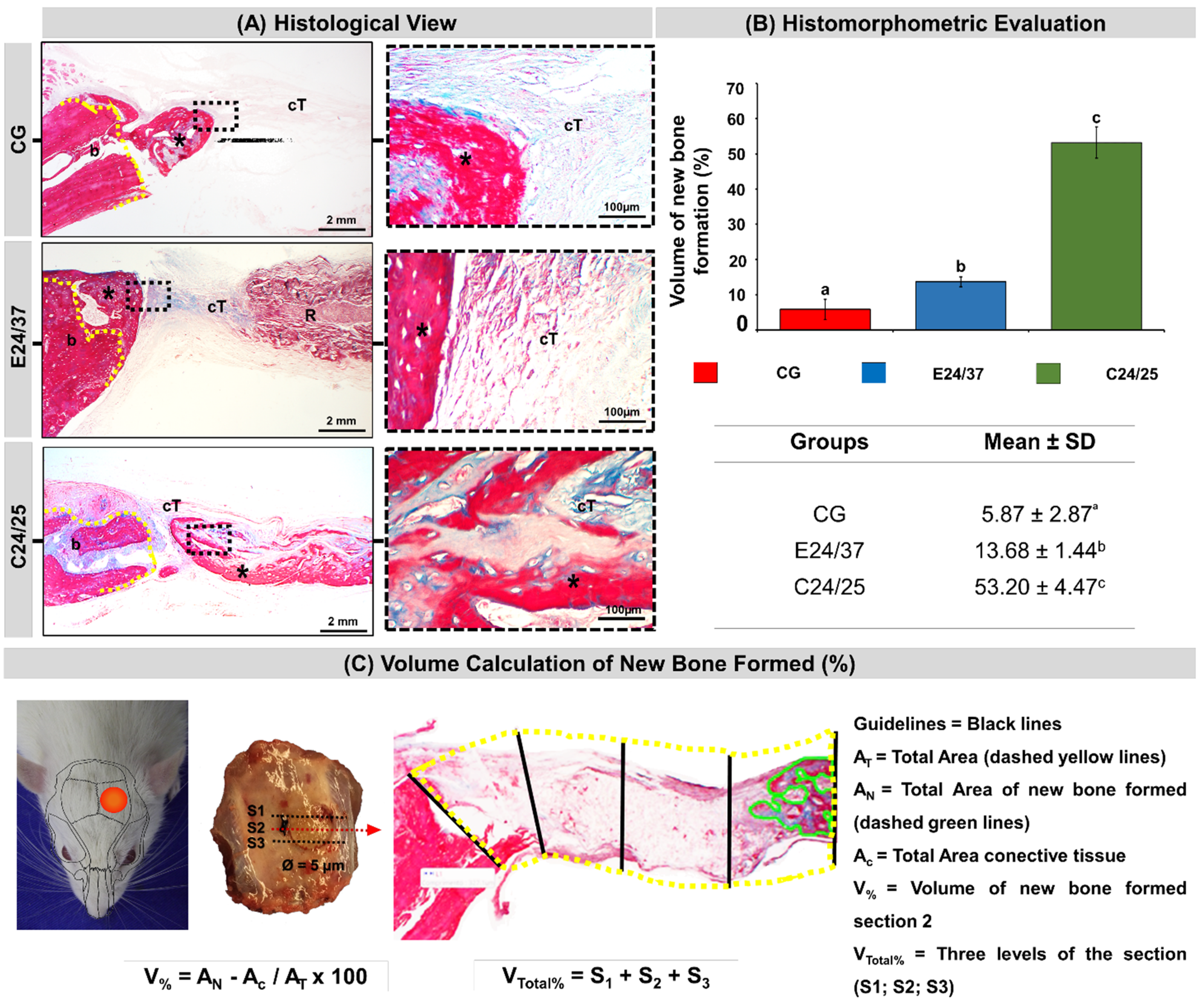 Molecules 26 01598 g006
