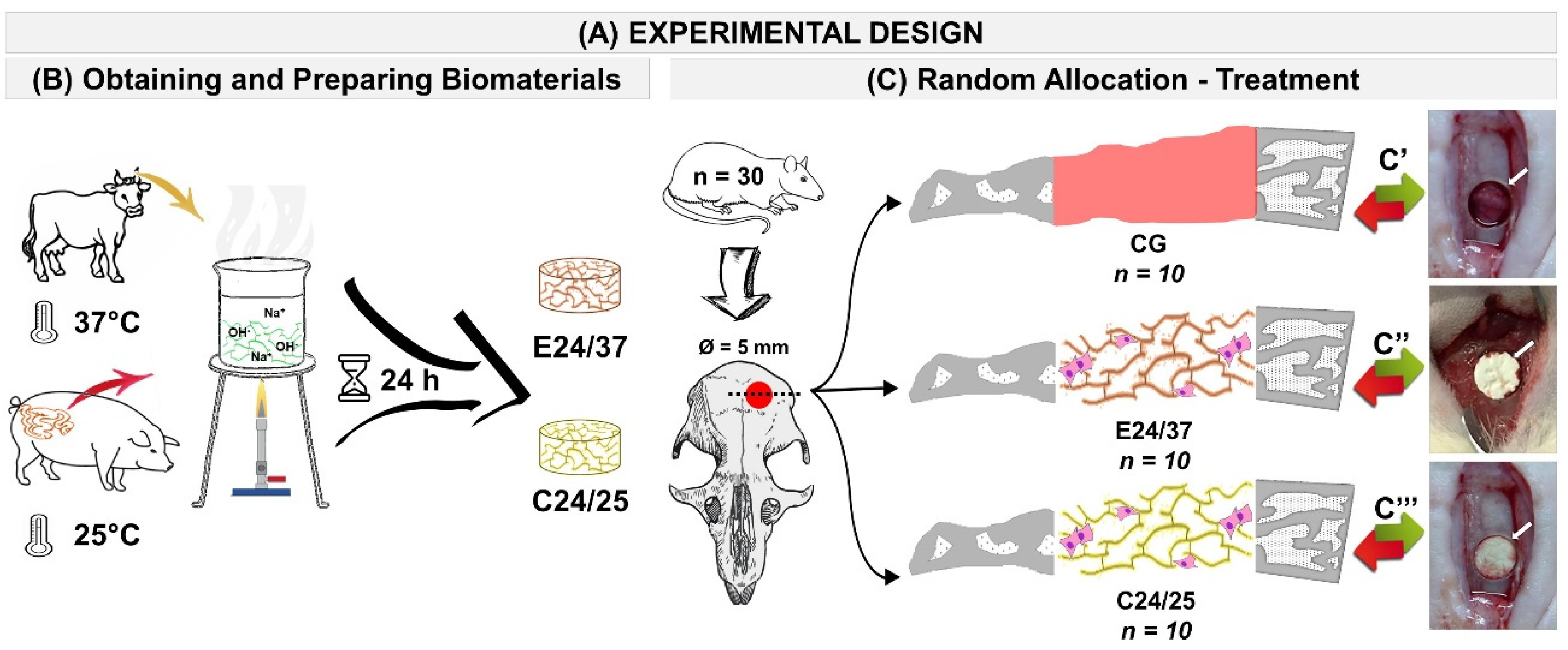 Molecules 26 01598 g007