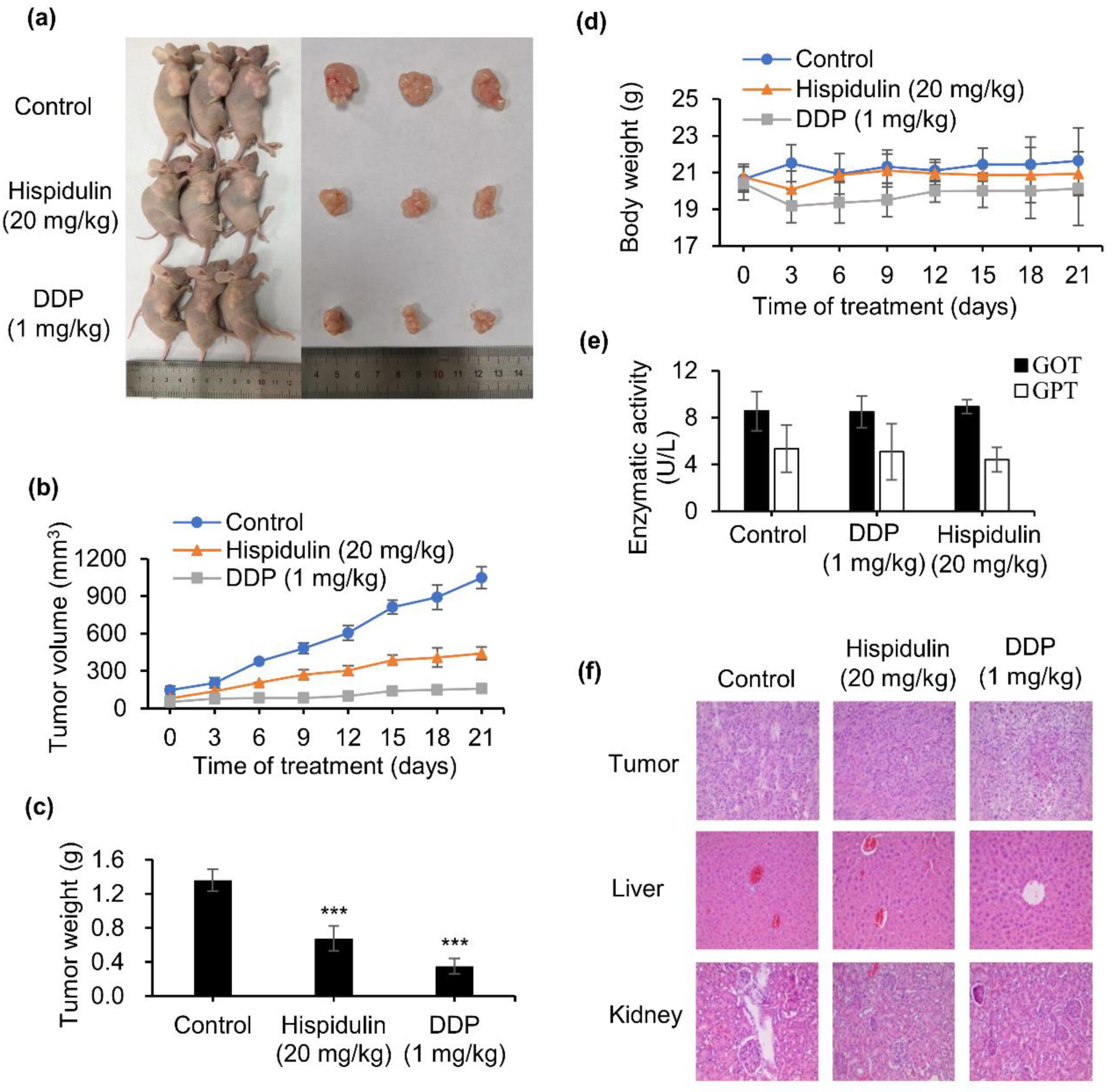 Molecules 26 01604 g005