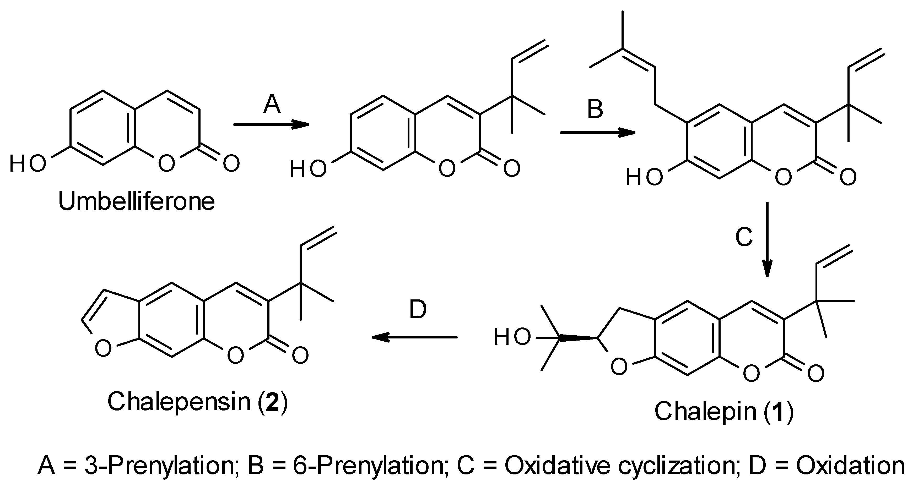 Molecules 26 01609 g002