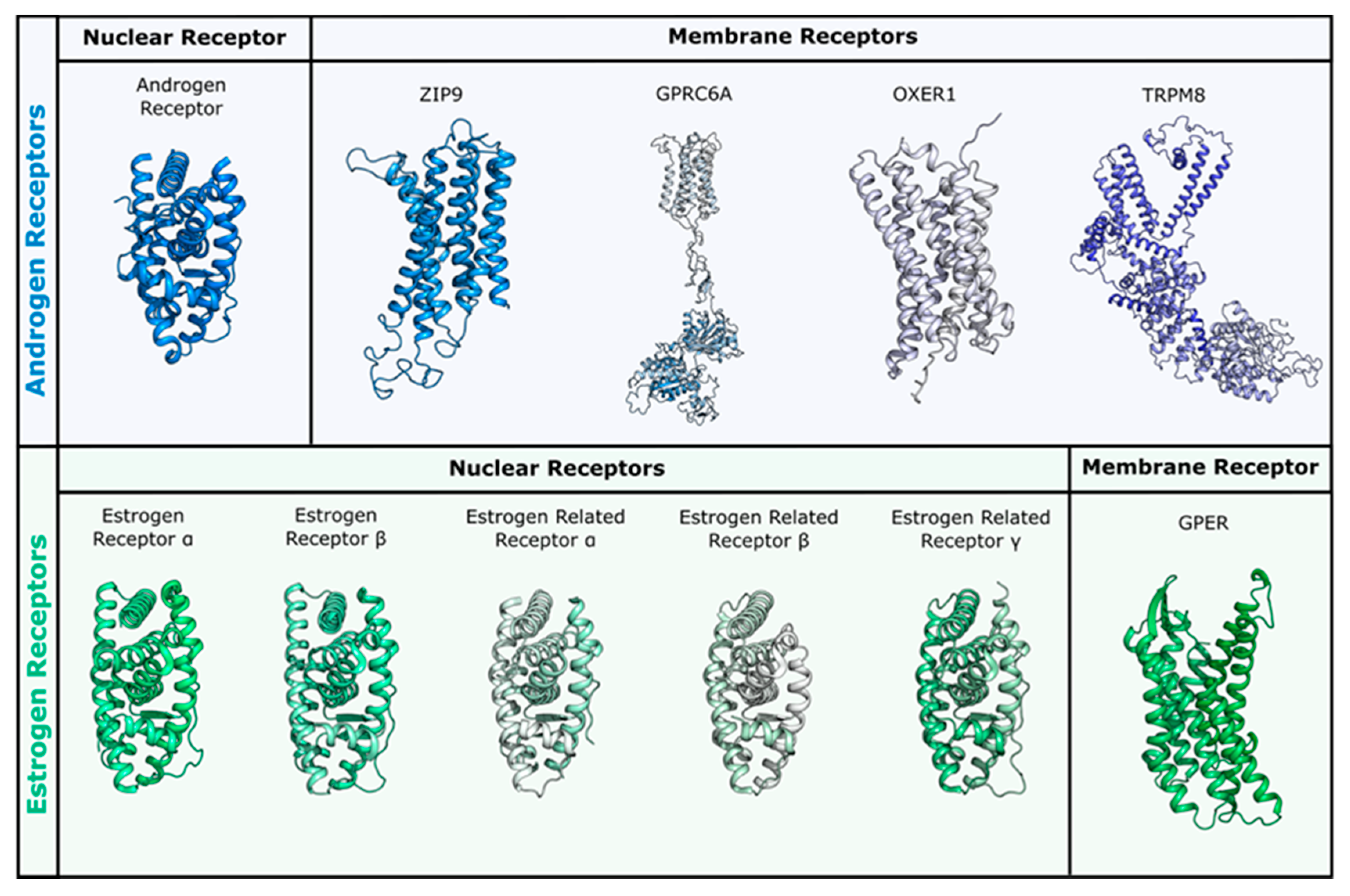 Molecules 26 01613 g002