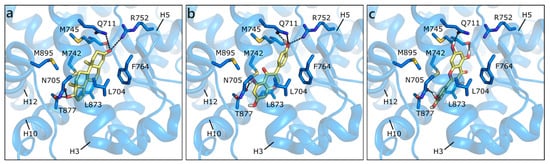 Molecules 26 01613 g003
