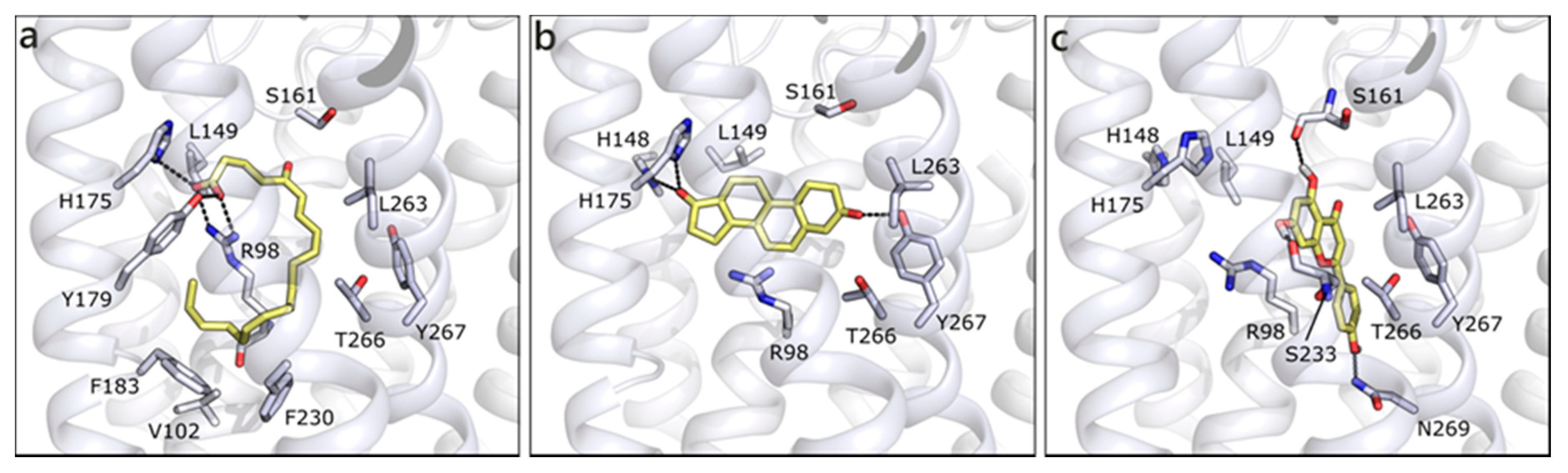 Molecules 26 01613 g010
