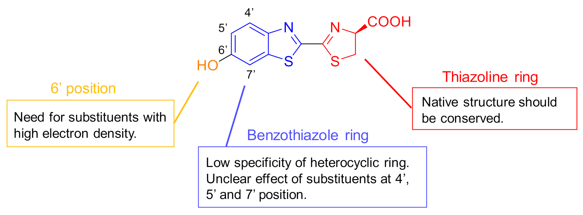 Molecules 26 01618 g001