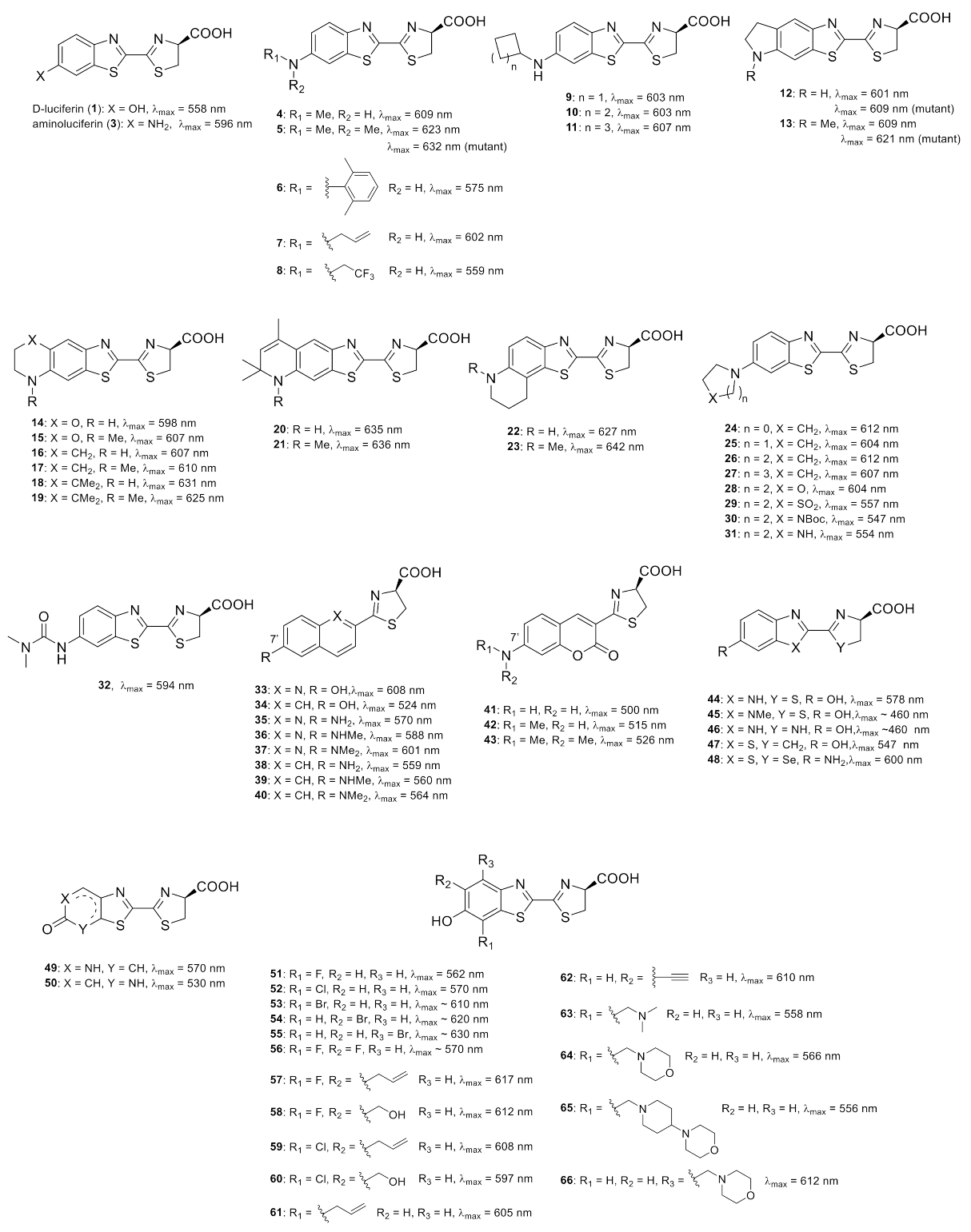 Molecules 26 01618 g002