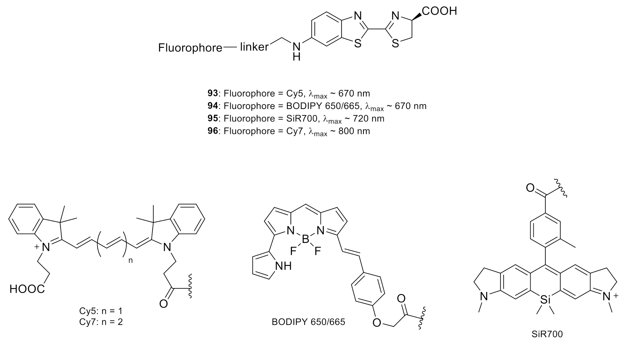Molecules 26 01618 g004