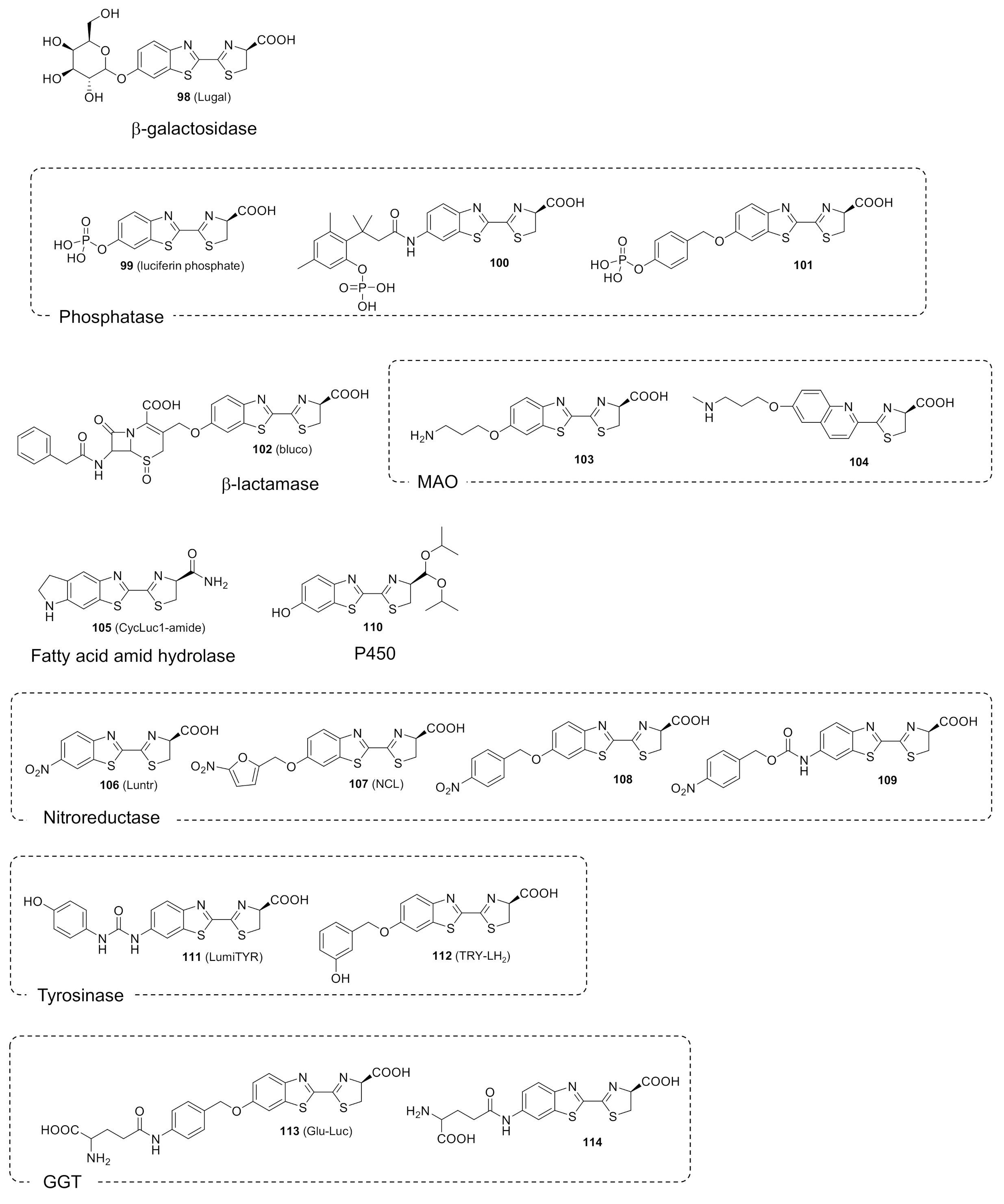 Molecules 26 01618 g006a