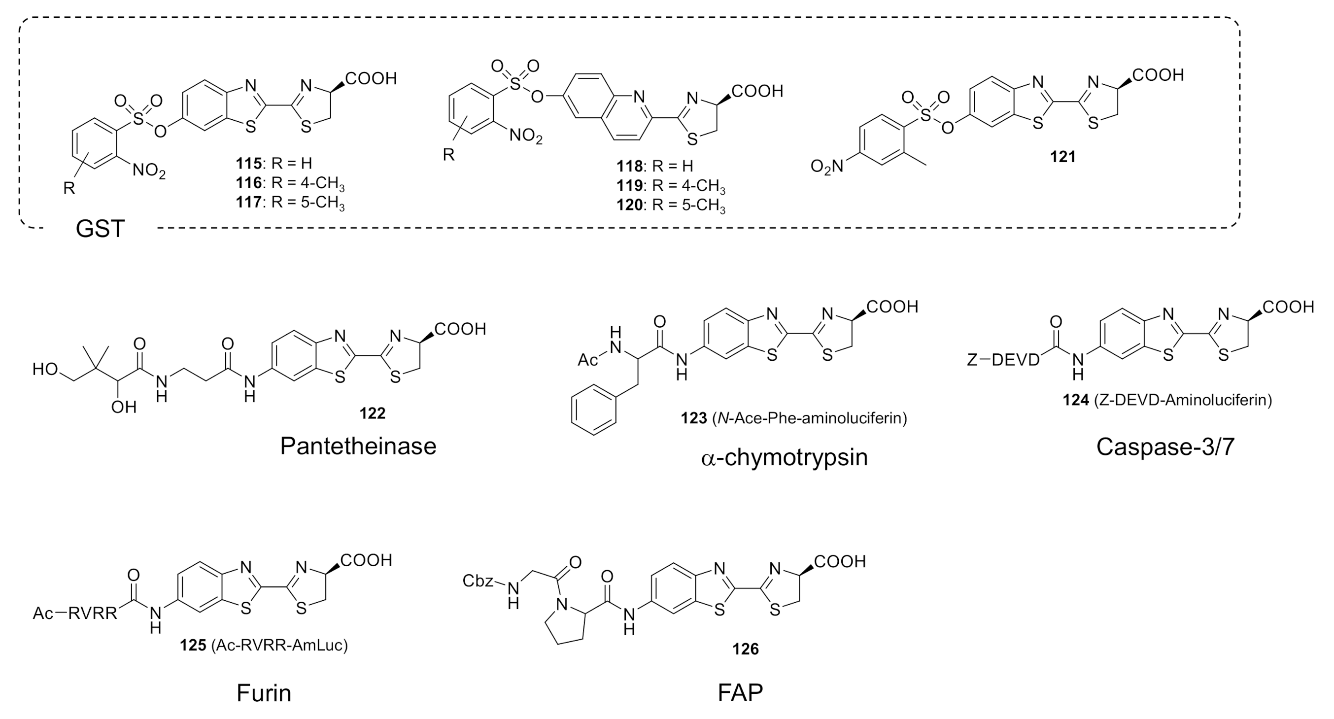 Molecules 26 01618 g006b