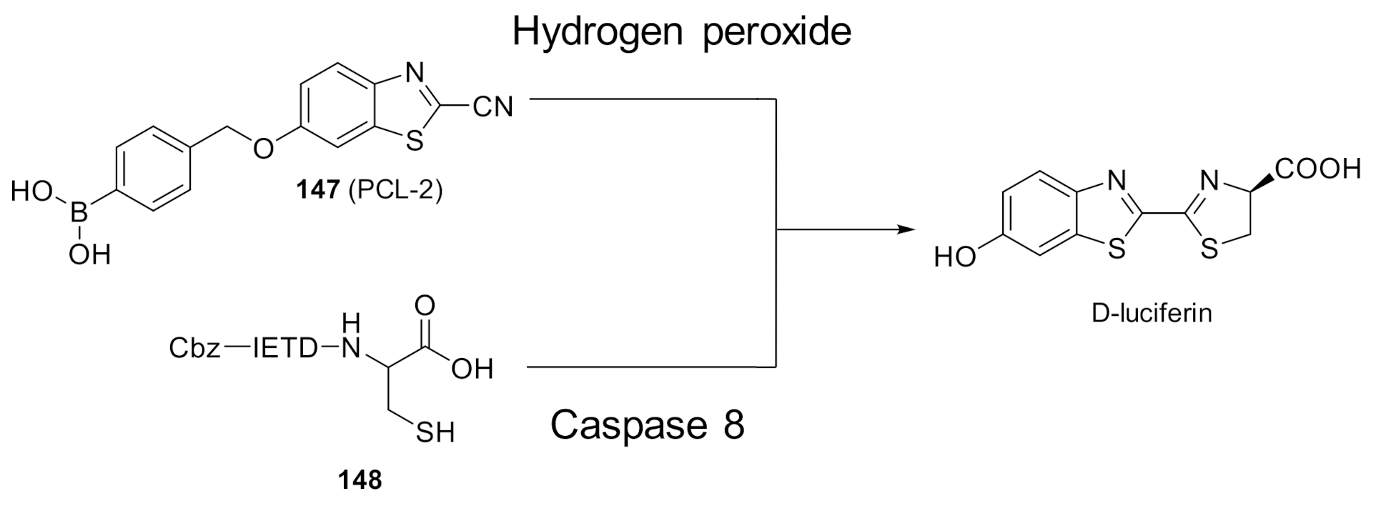 Molecules 26 01618 g009