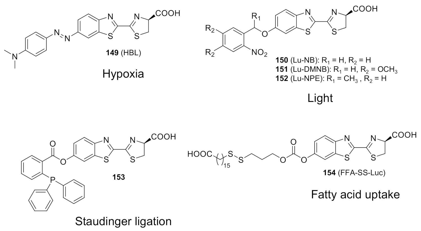 Molecules 26 01618 g010