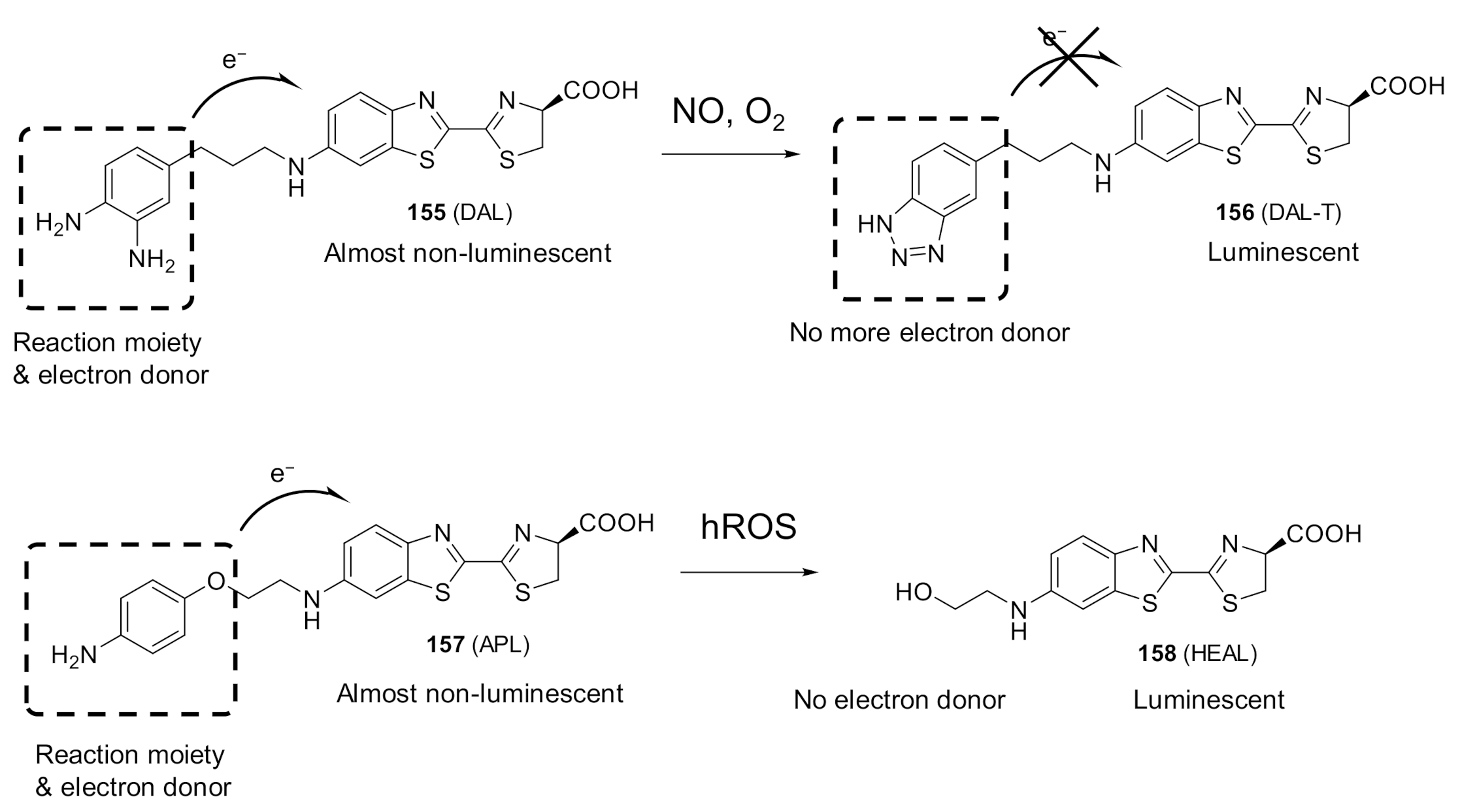 Molecules 26 01618 g011