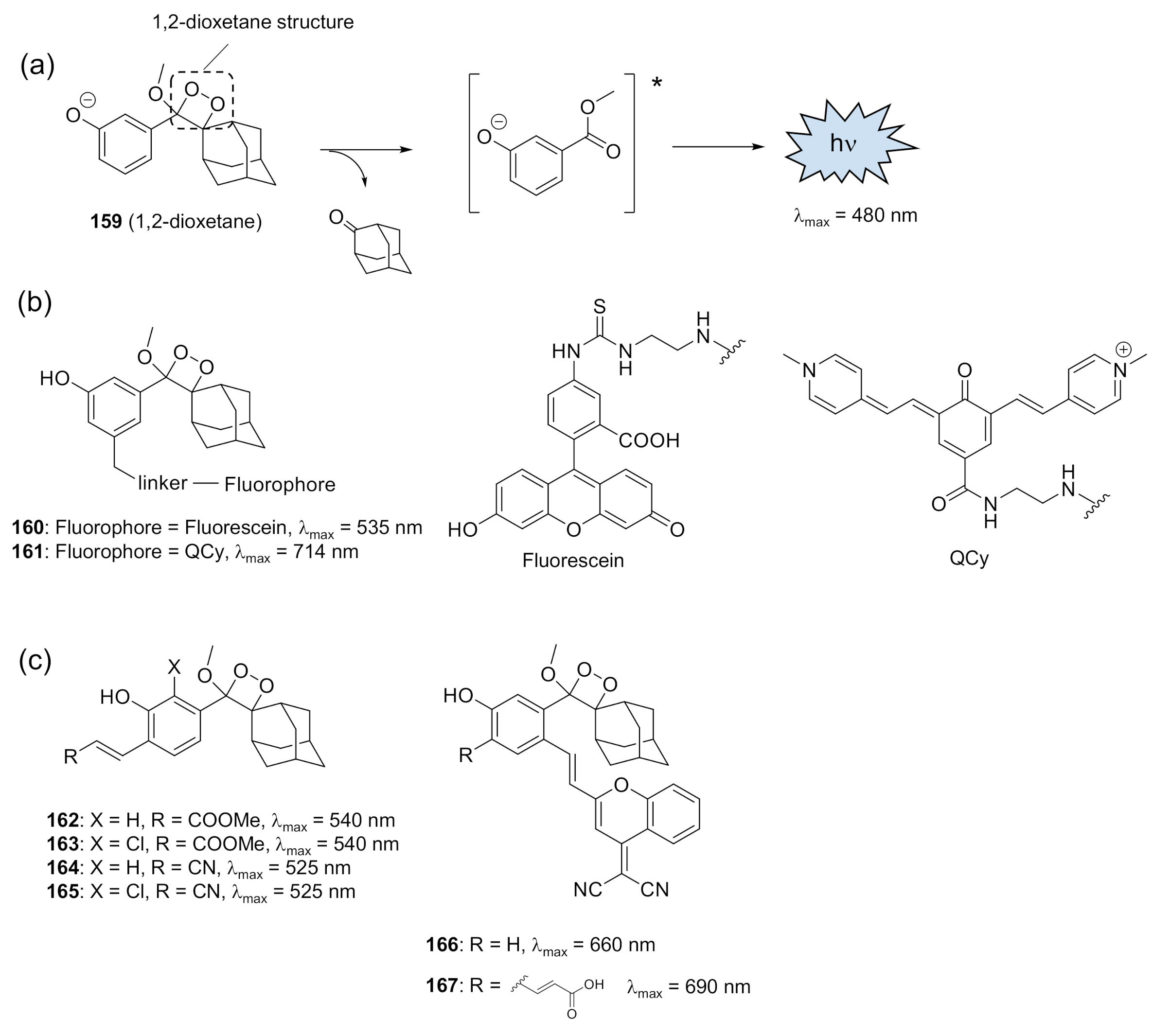 Molecules 26 01618 g012