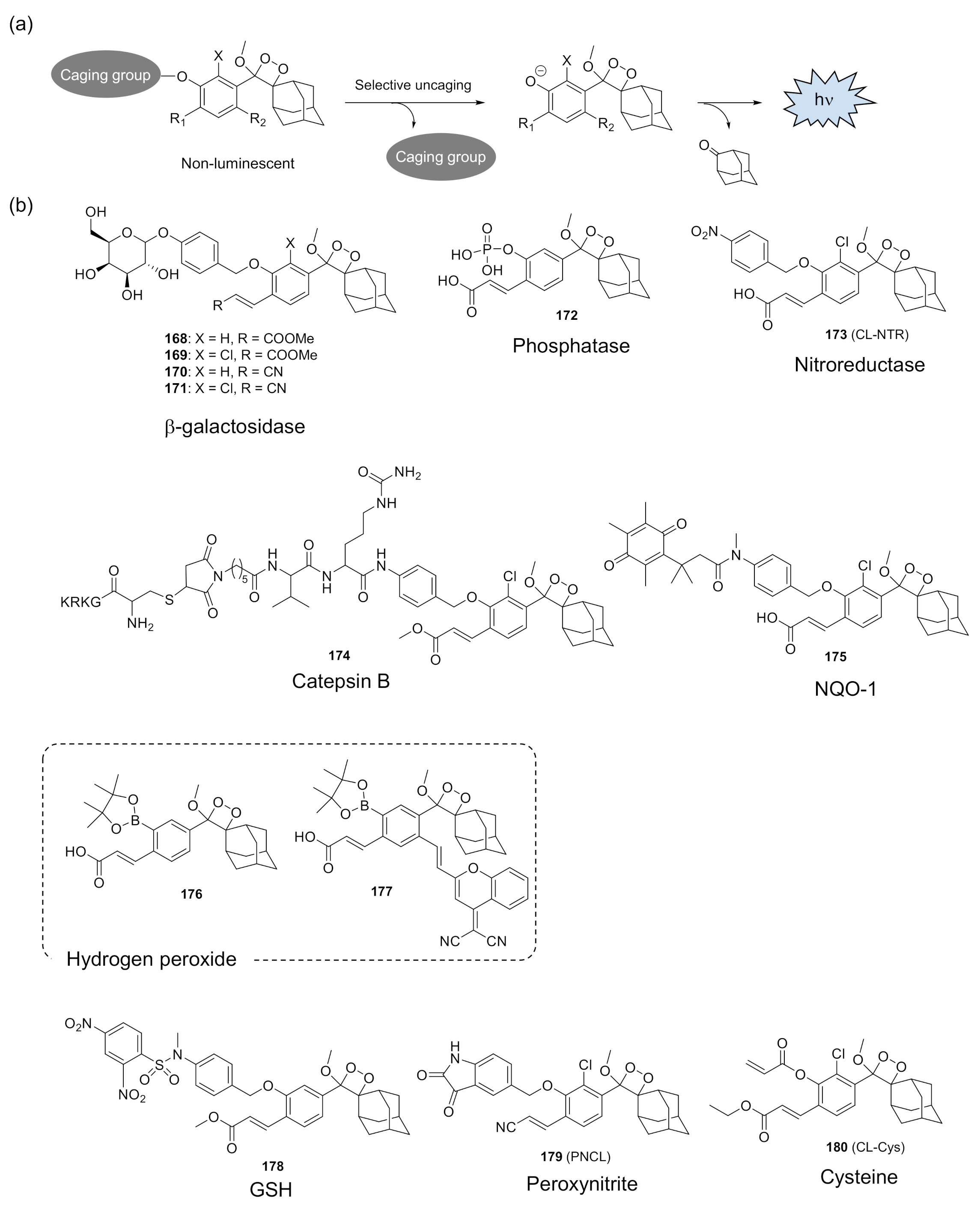 Molecules 26 01618 g013a