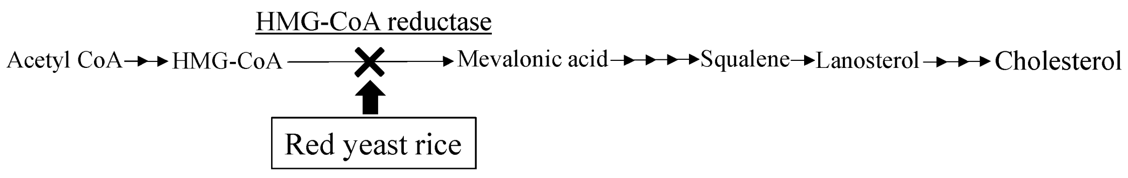 Molecules 26 01619 g012