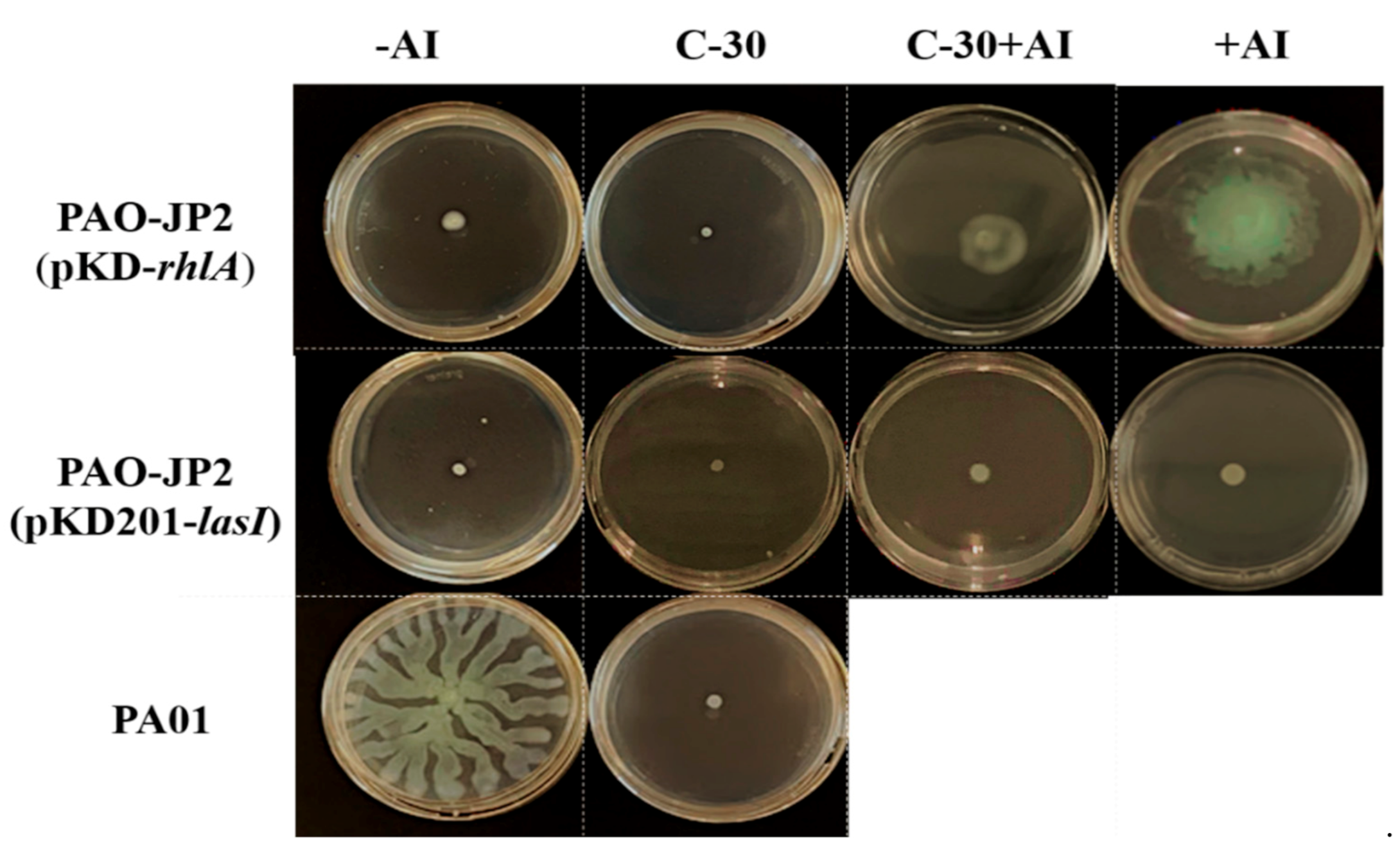 Molecules 26 01620 g002